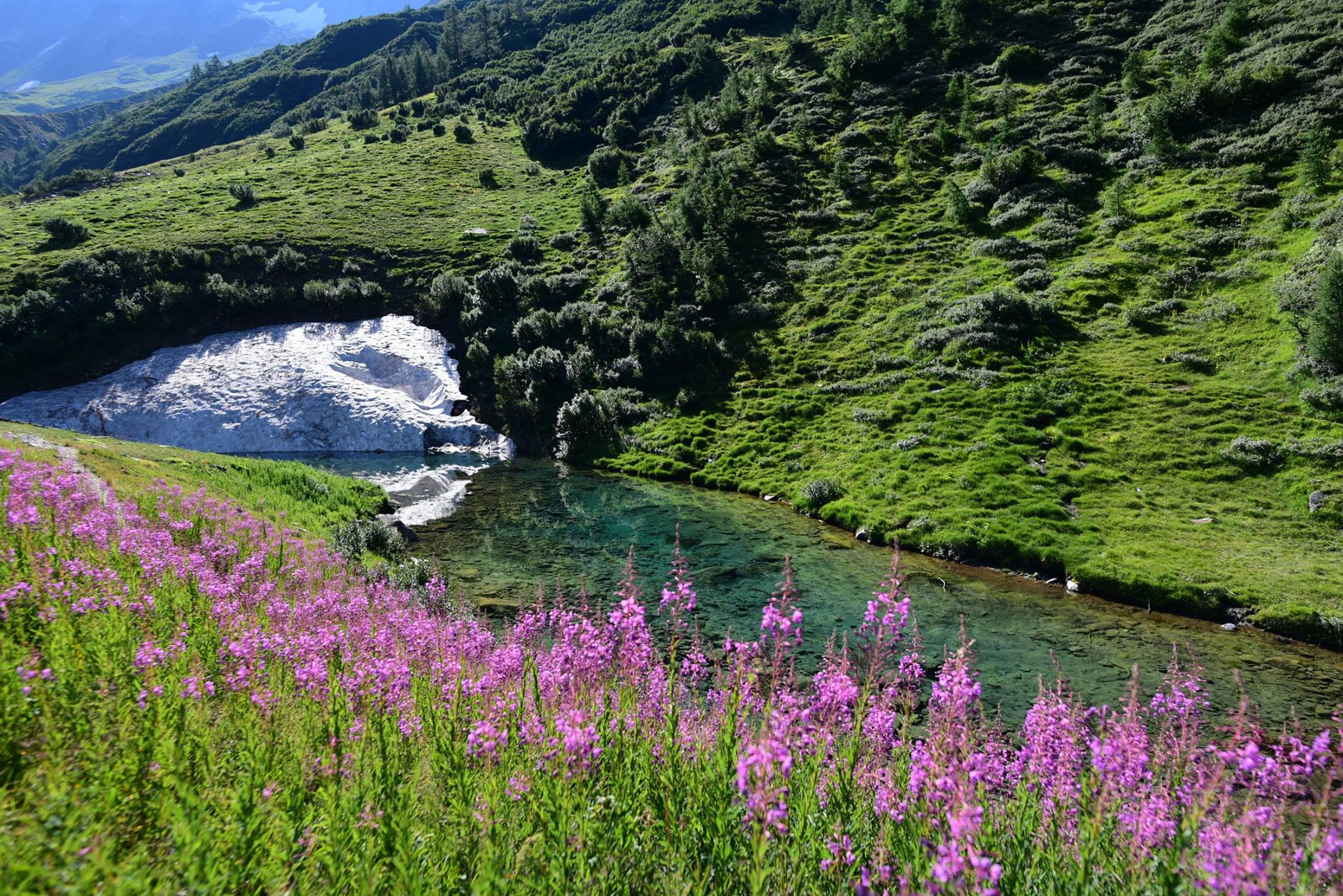 39625135_2065405823788405_266551047688814592_o