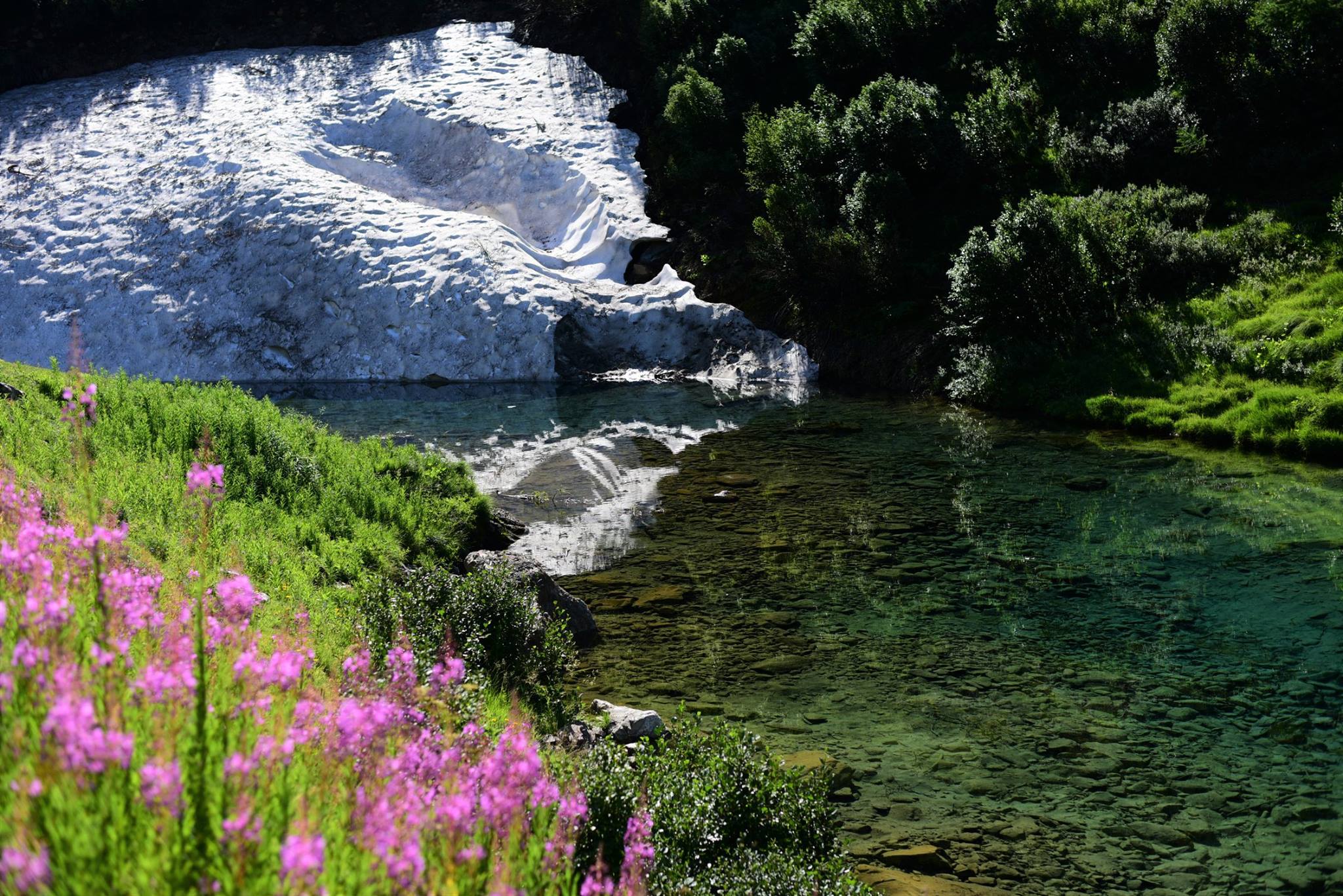 39686794_2065404973788490_6610744392770650112_o