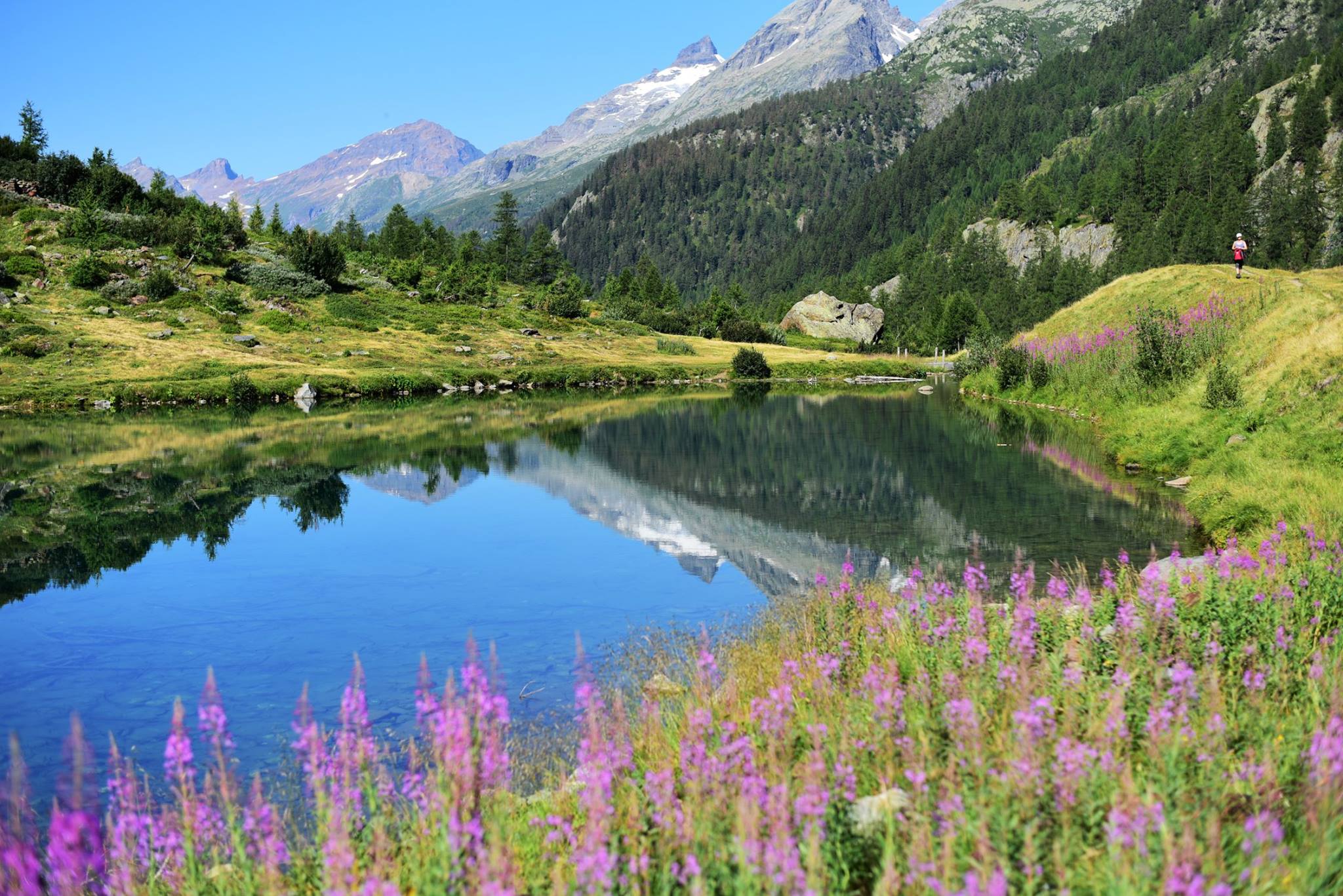 39741857_2065405243788463_9076021484274581504_o