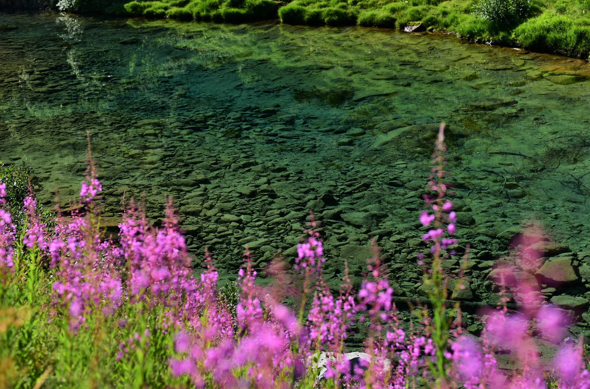 39745171_2065405017121819_3296363163179548672_o