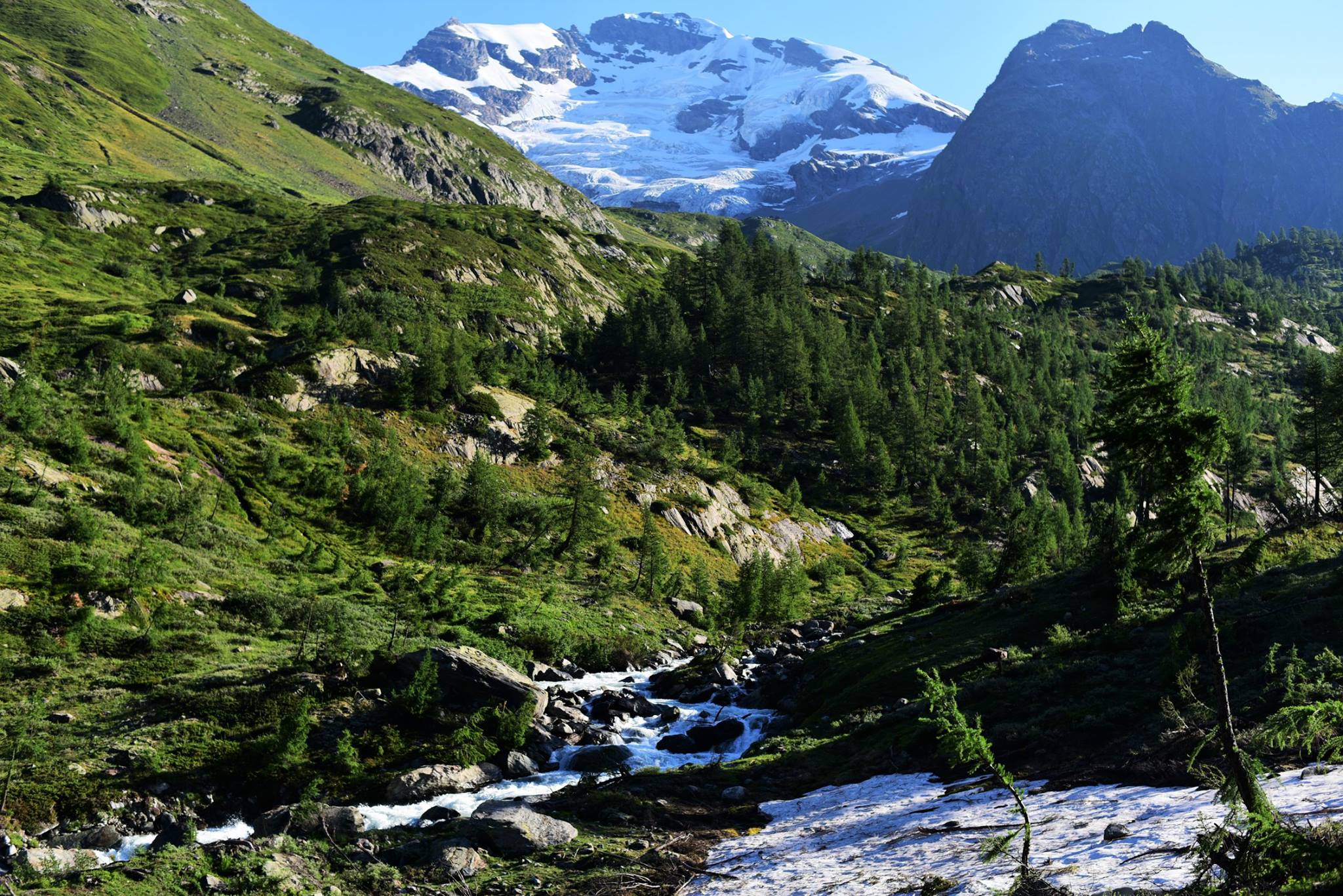 39745173_2065404500455204_9079332873995026432_o