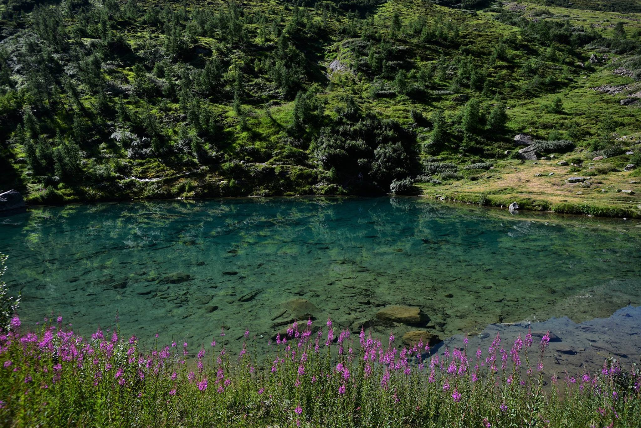 39775330_2065406267121694_4174894093601603584_o