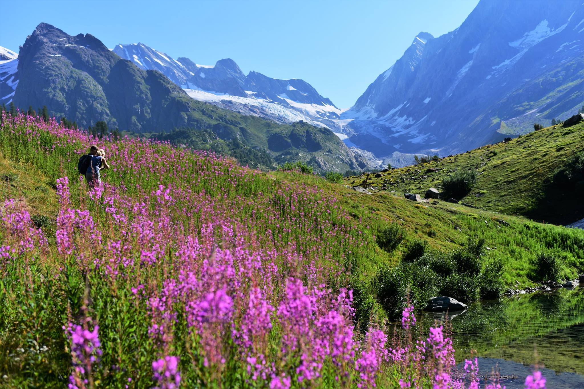 39799701_2065404770455177_4884993401860128768_o