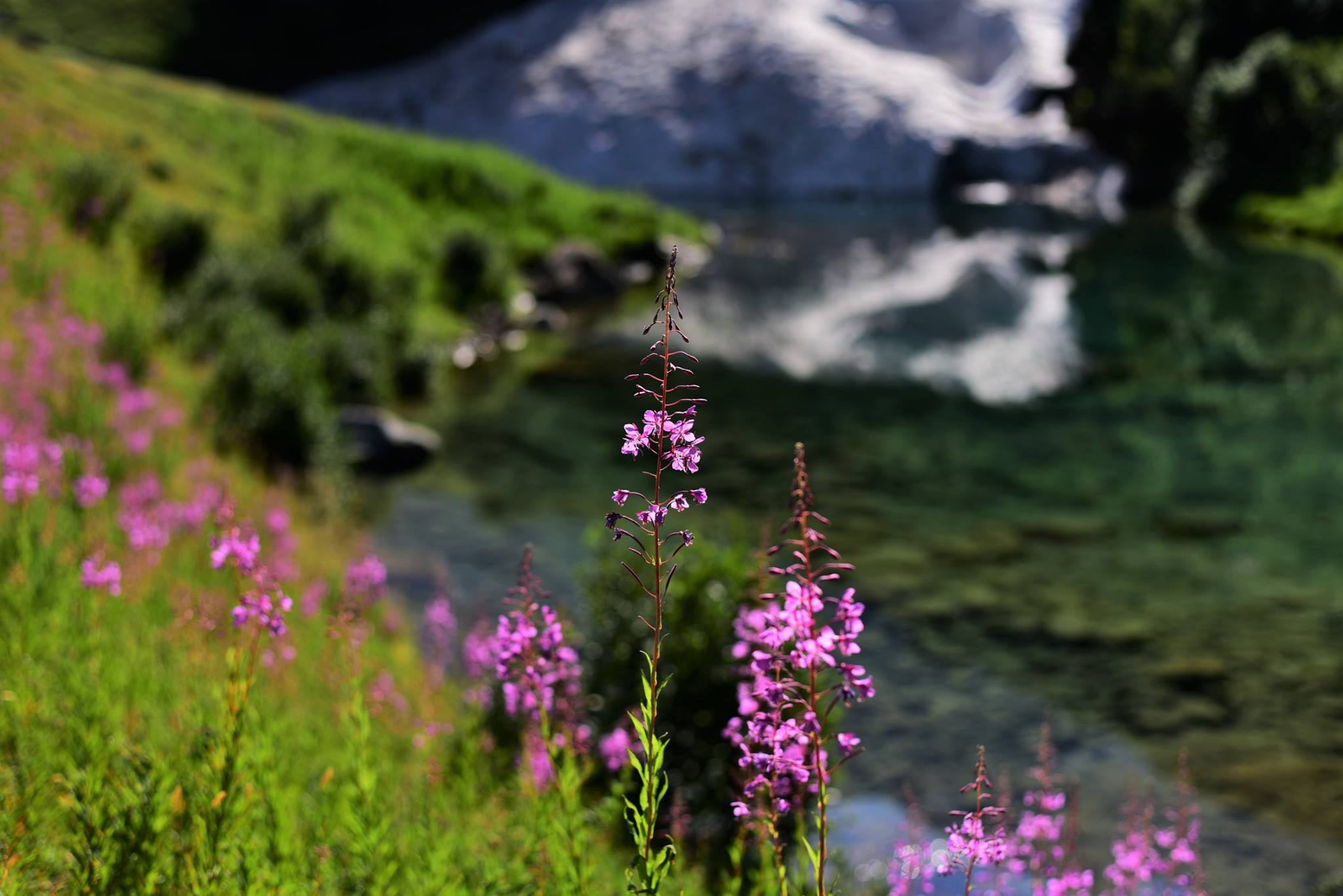 39799777_2065404807121840_3667326038360195072_o