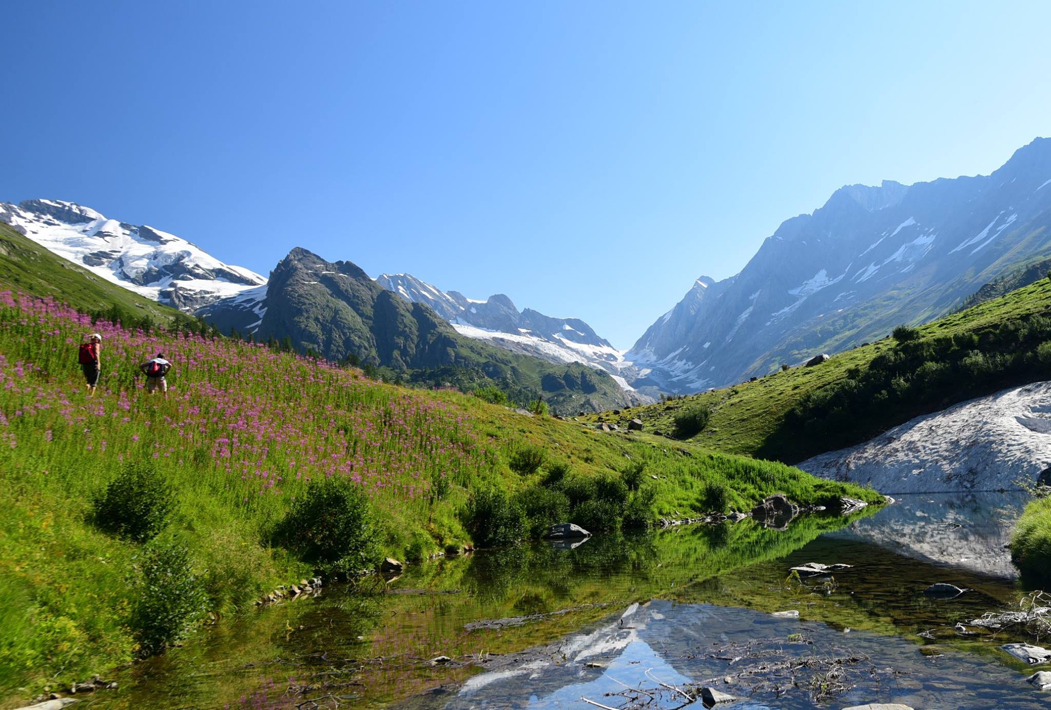 39814924_2065406037121717_3408830755885809664_o