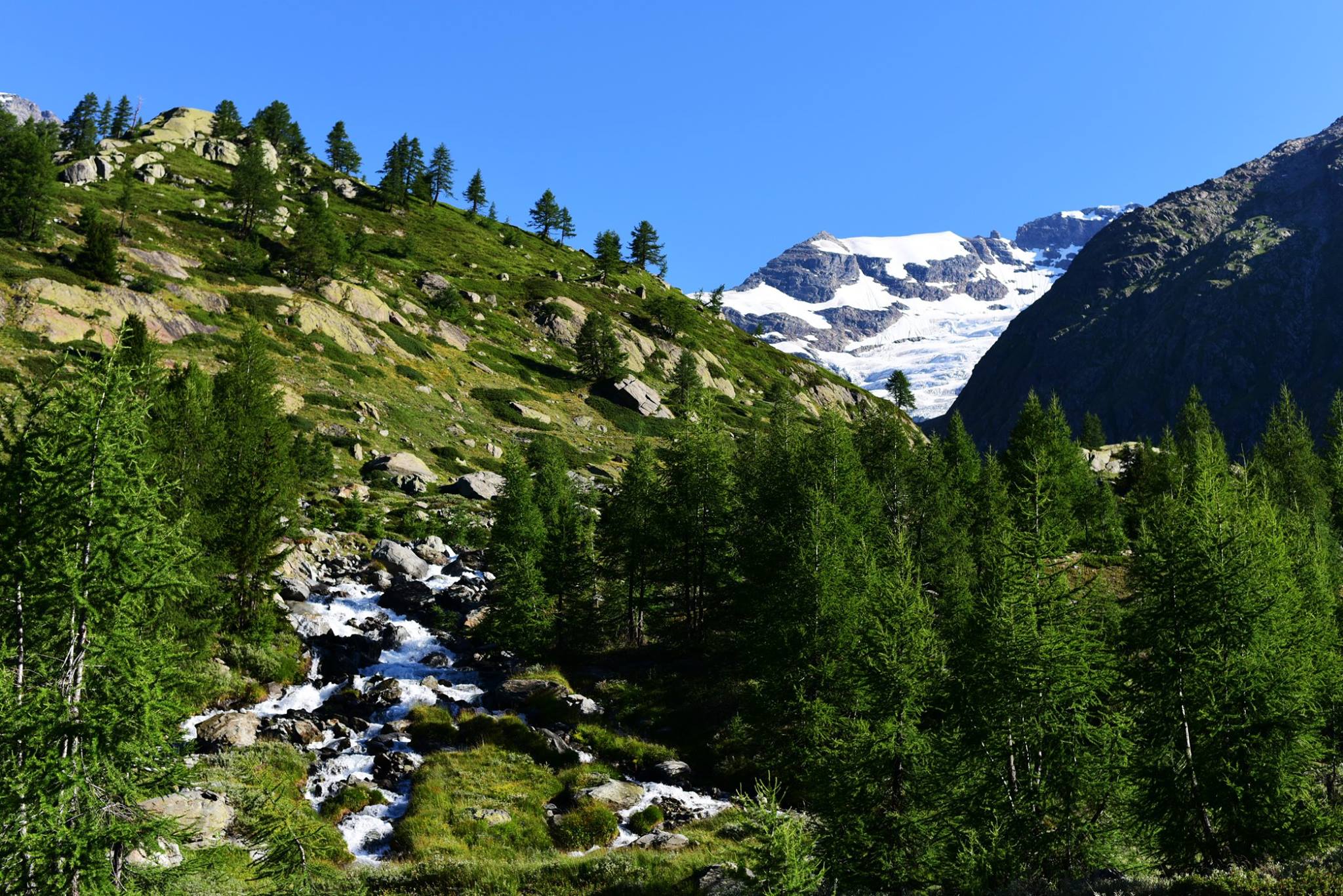 39861964_2065404567121864_2134062712718622720_o