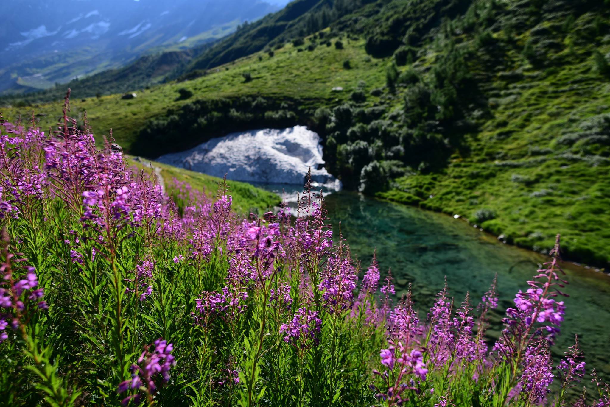 39913159_2065405853788402_121546694008504320_o