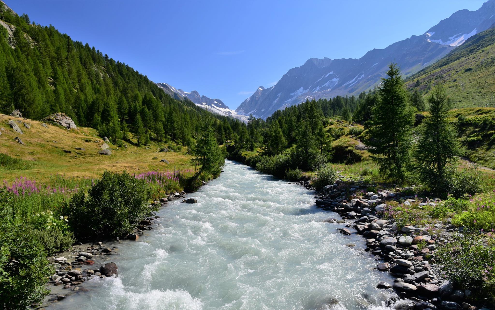 39921210_2065406447121676_6194711470815576064_o