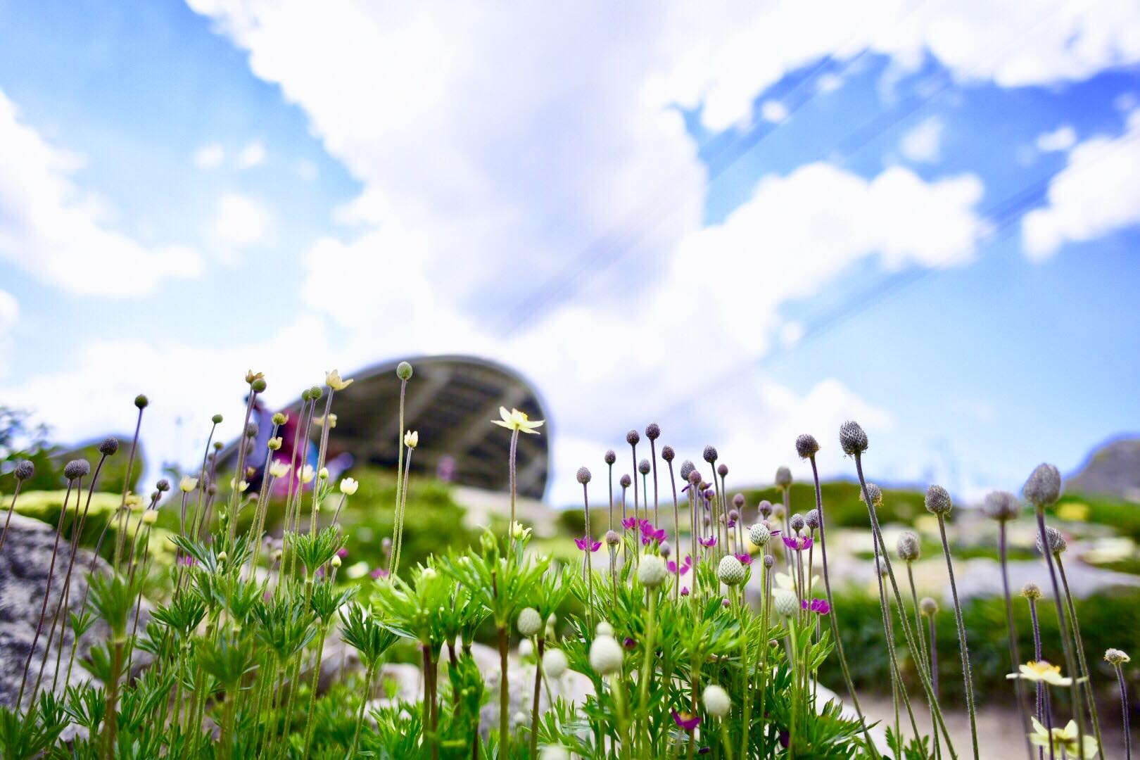 40125375_2071137756548545_1286142658460254208_o