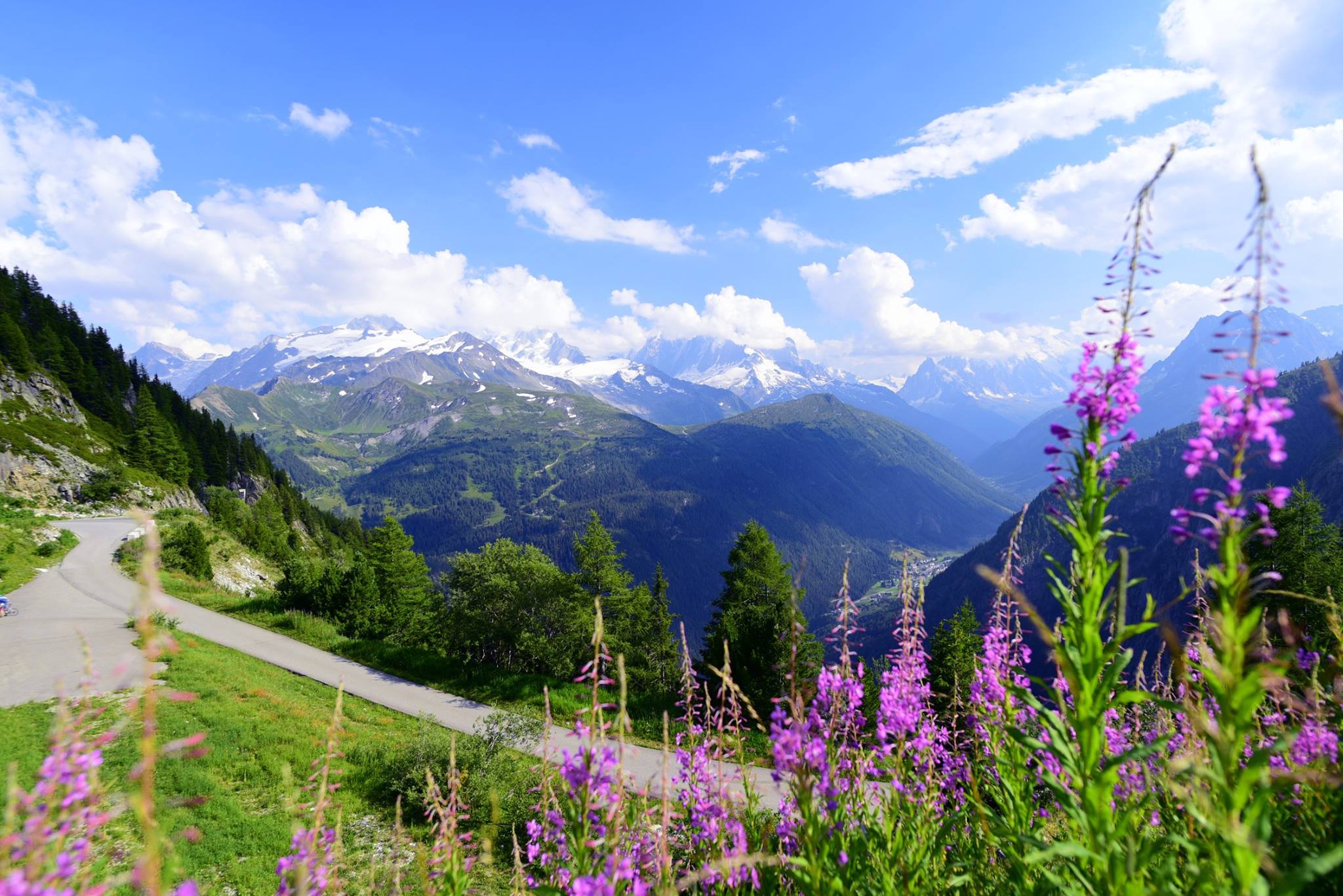 40279300_2072313209764333_7714703064044666880_o