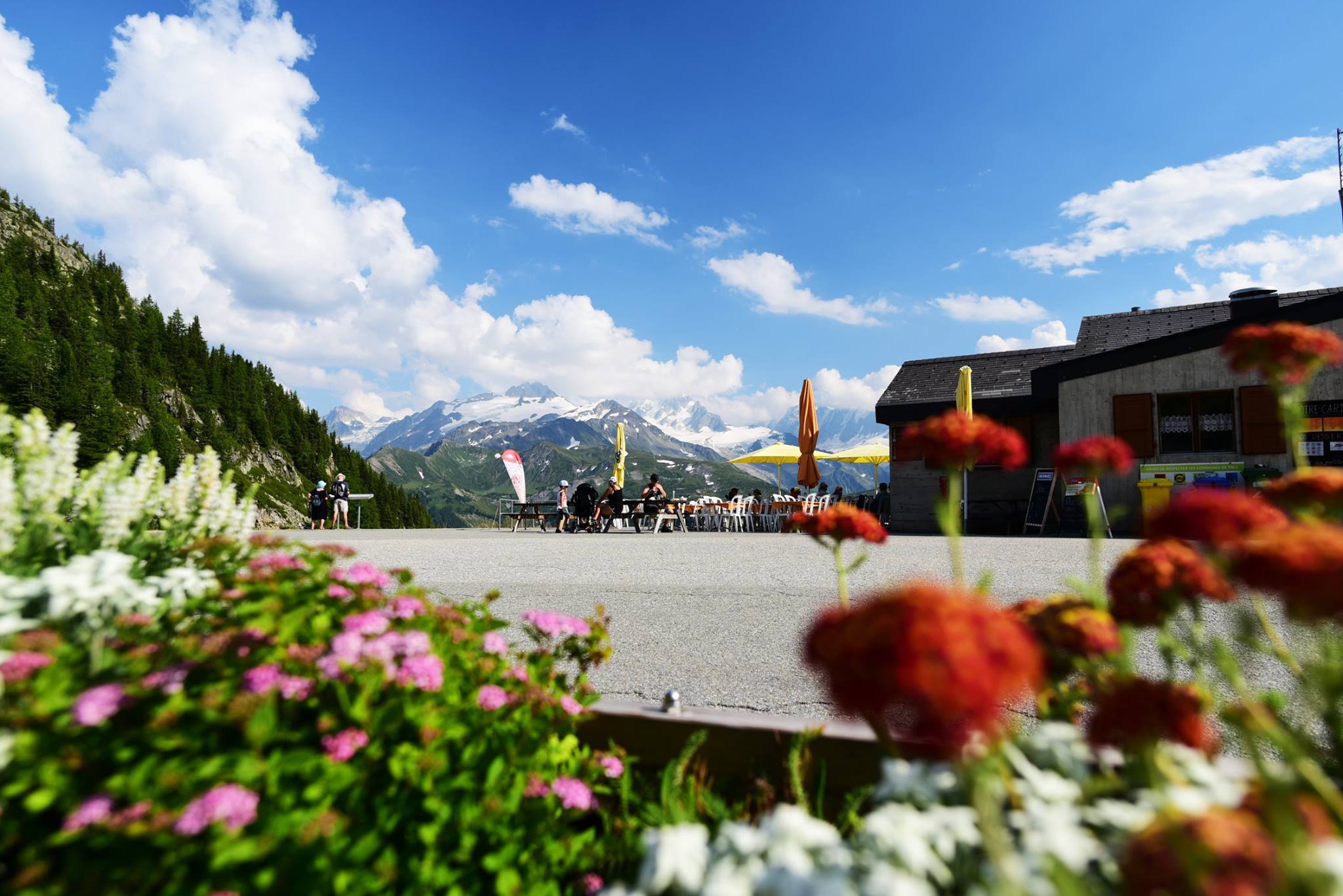 40377693_2072347116427609_4466816762943373312_o