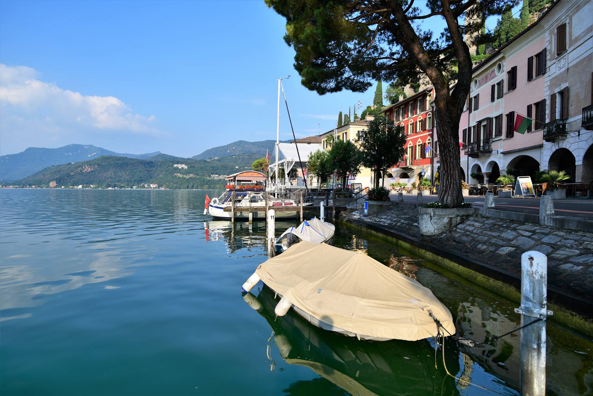 40383086_2072915659704088_2750701221923782656_o