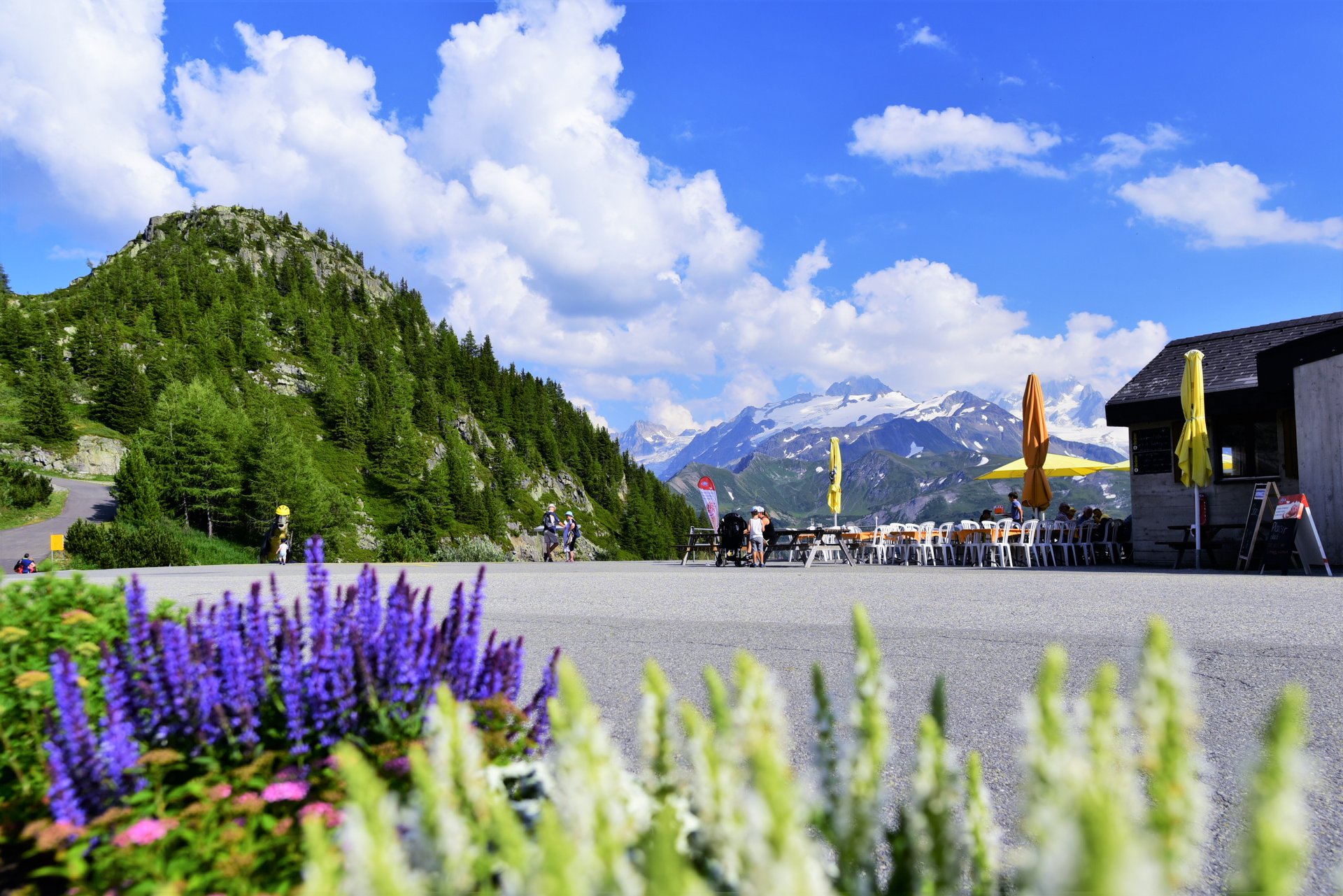 40398038_2072313359764318_9162771723345461248_o