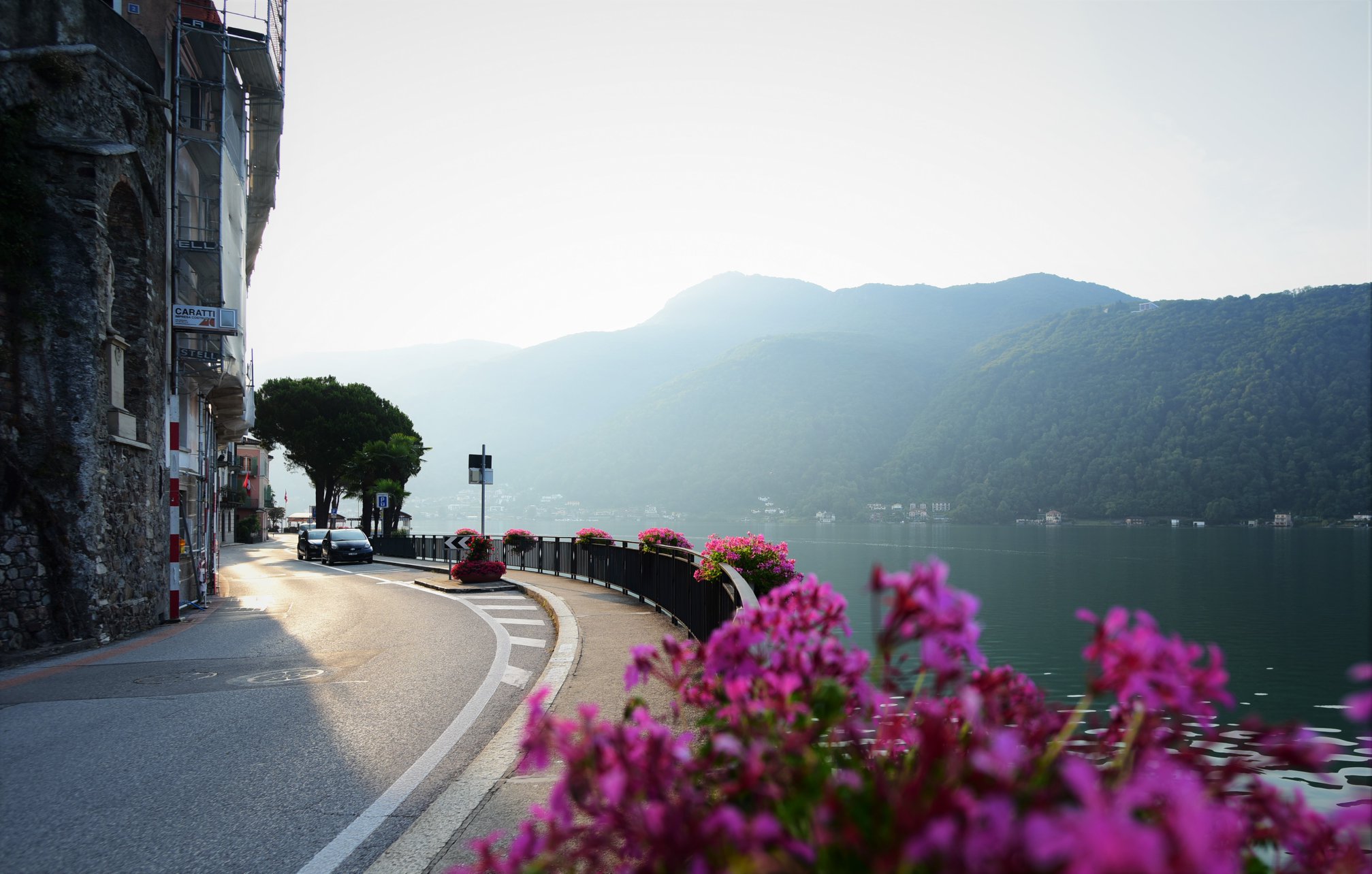 40546147_2072915236370797_945488628753104896_o