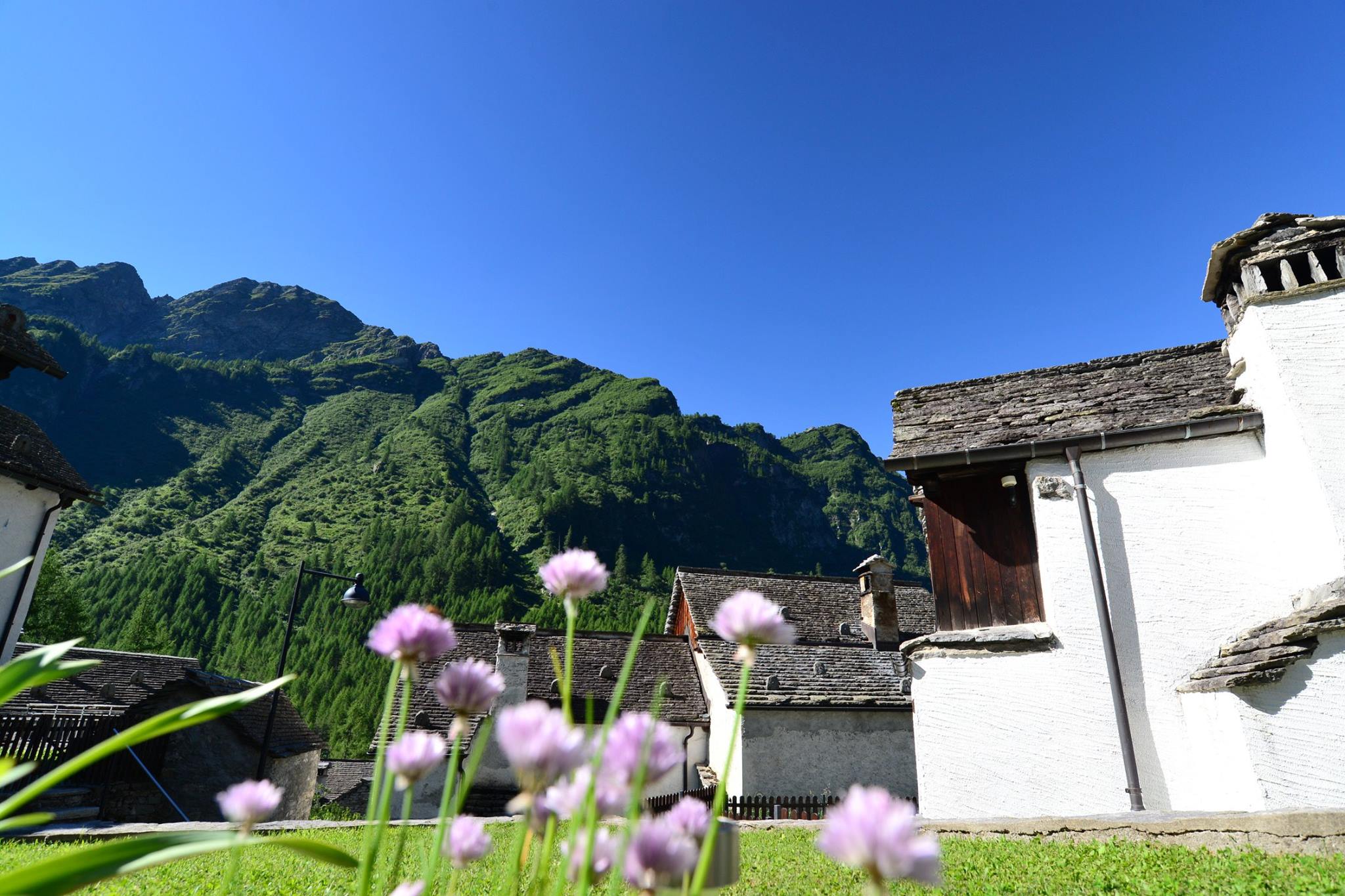 16299933_1727737720888552_8831728394869709703_o