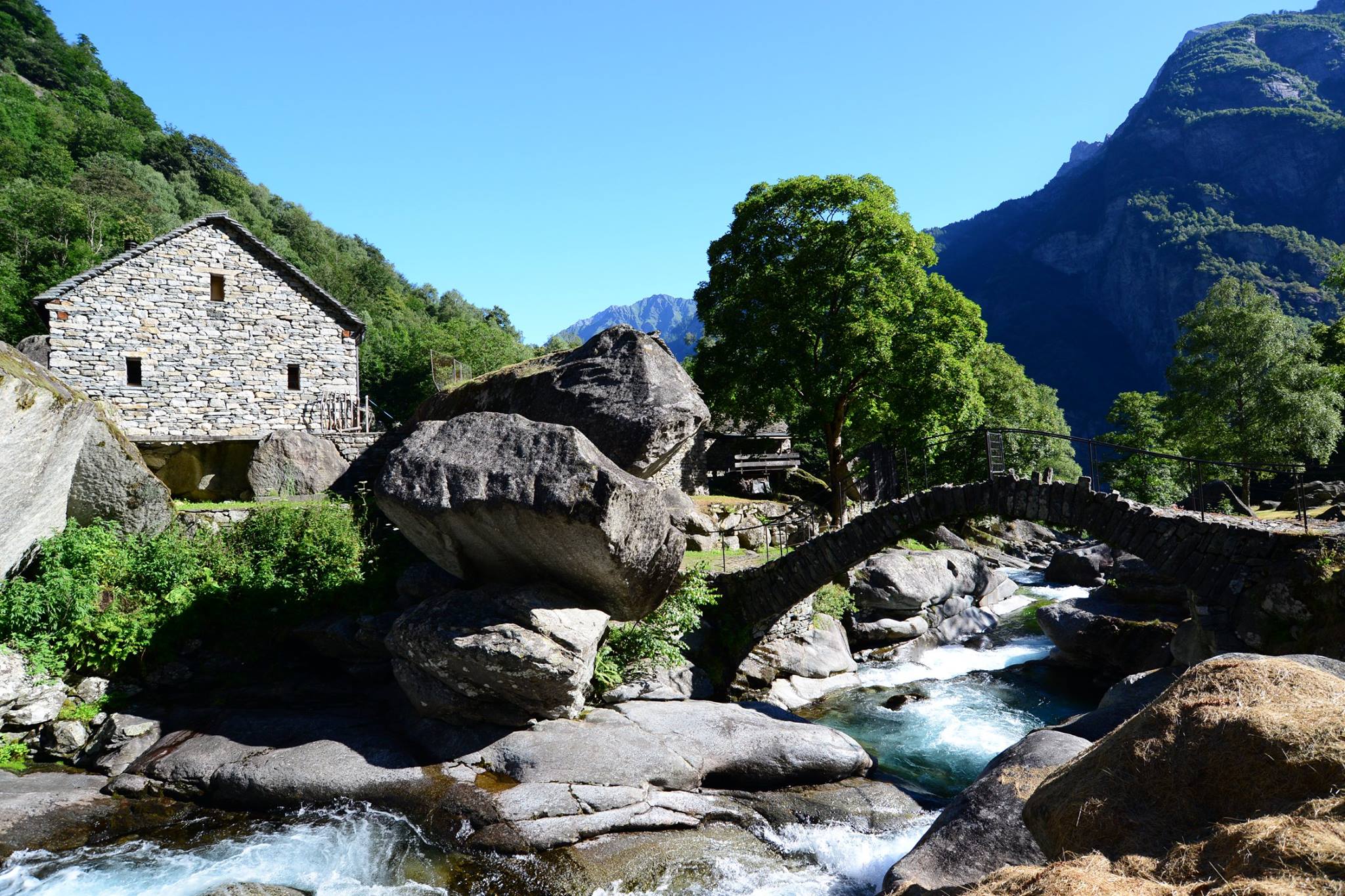 16463358_1732492453746412_1873663717659661562_o