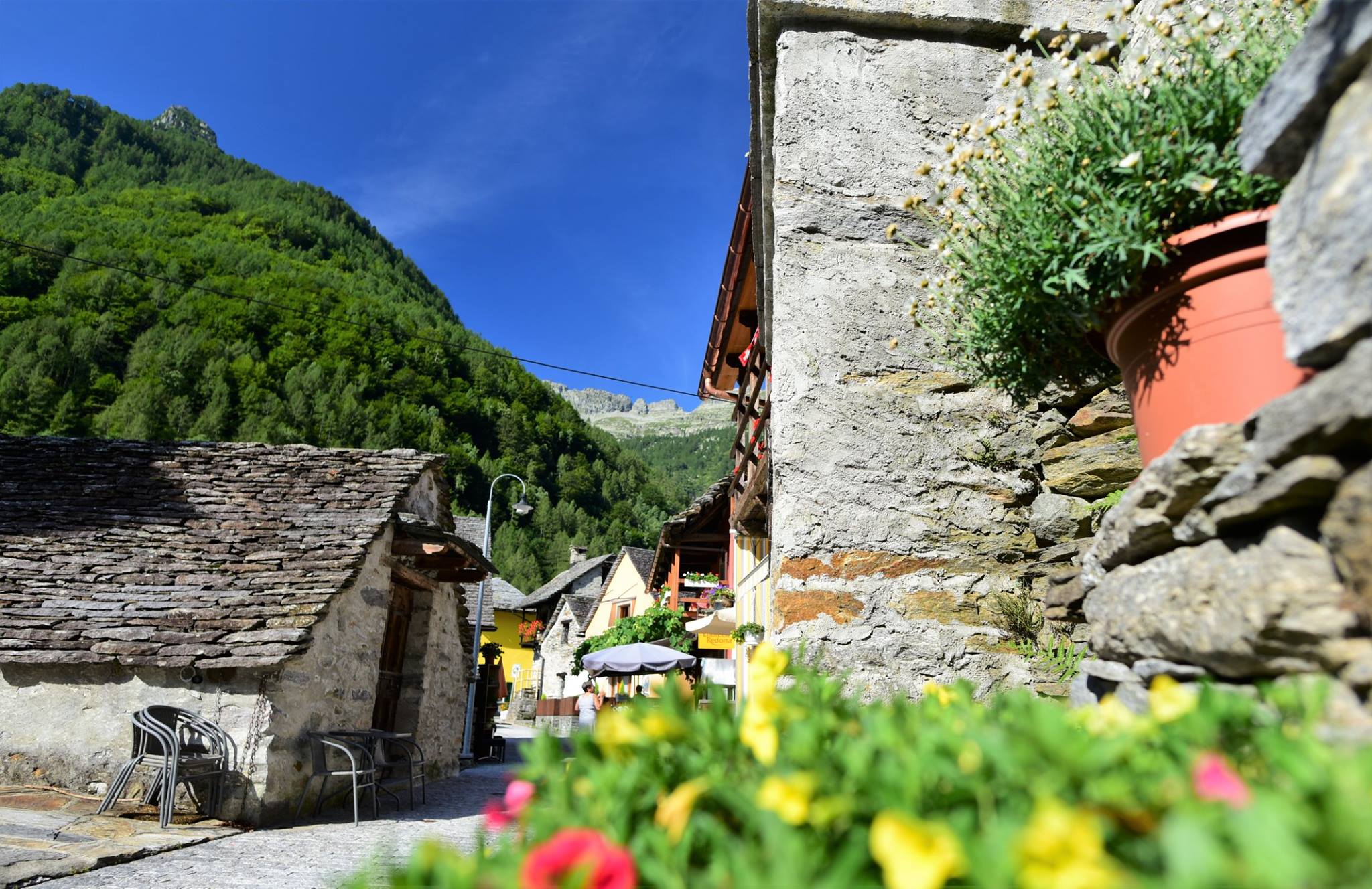 38753064_1683670398397650_1378603473162993664_o