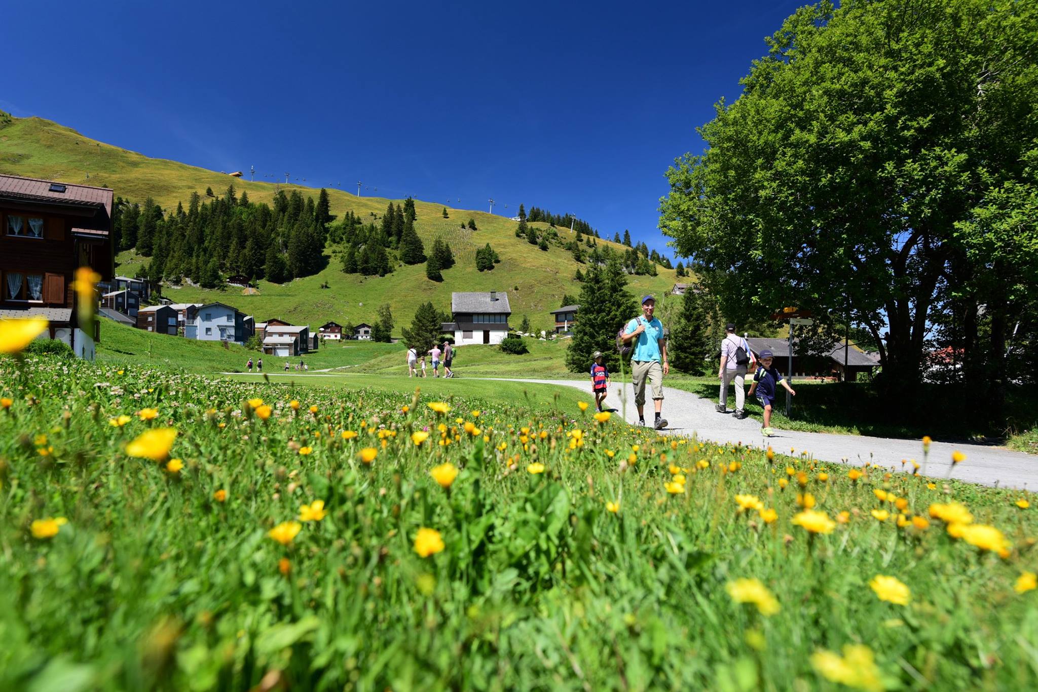 39090177_2057339464595041_7214853223947960320_o