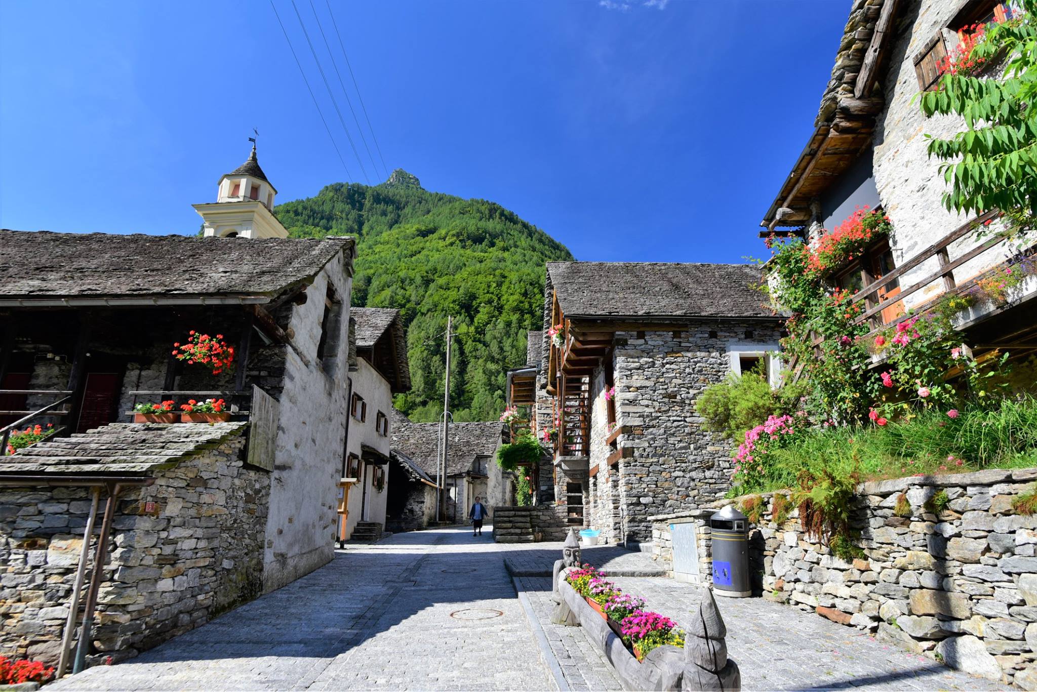 39207138_2059664161029238_6002503785874718720_o