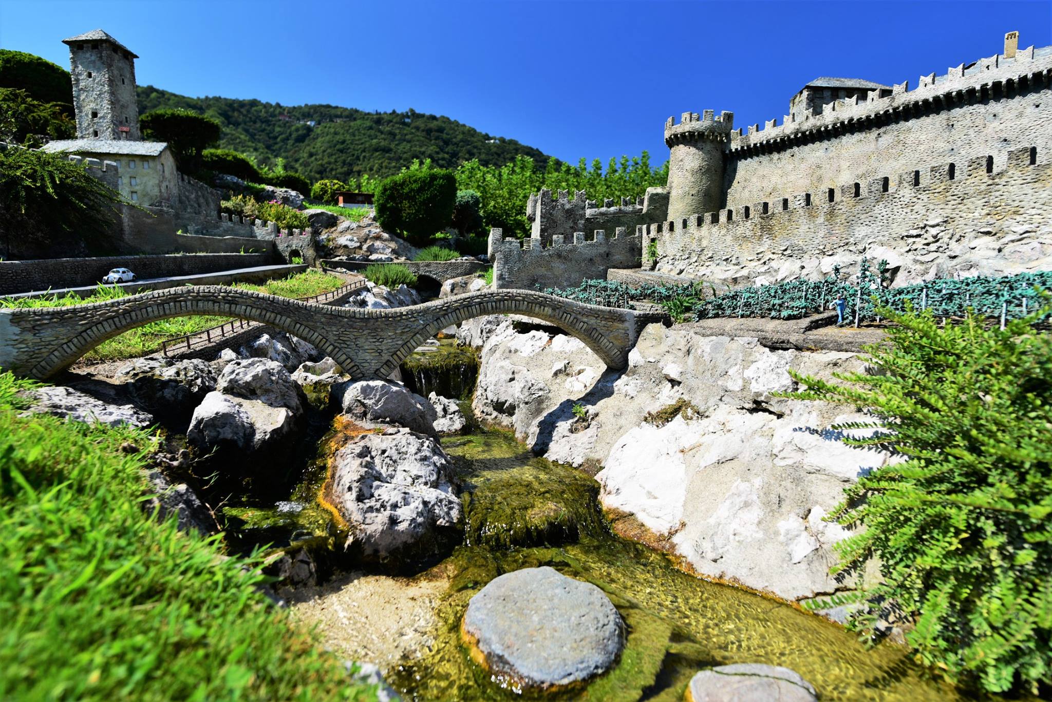 40609408_2075239449471709_1471572116208877568_o