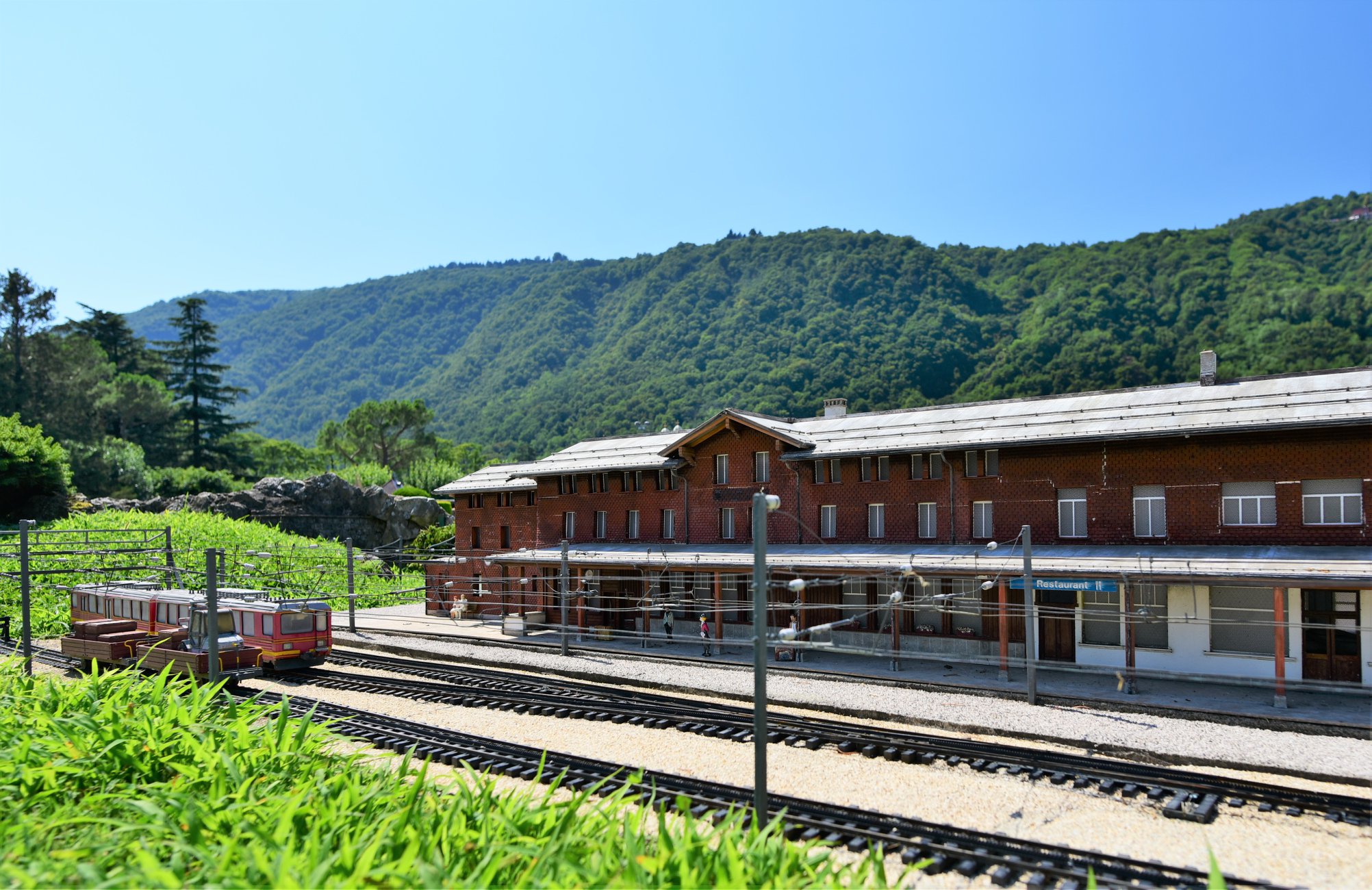 40637652_2075239342805053_4154132346246791168_o