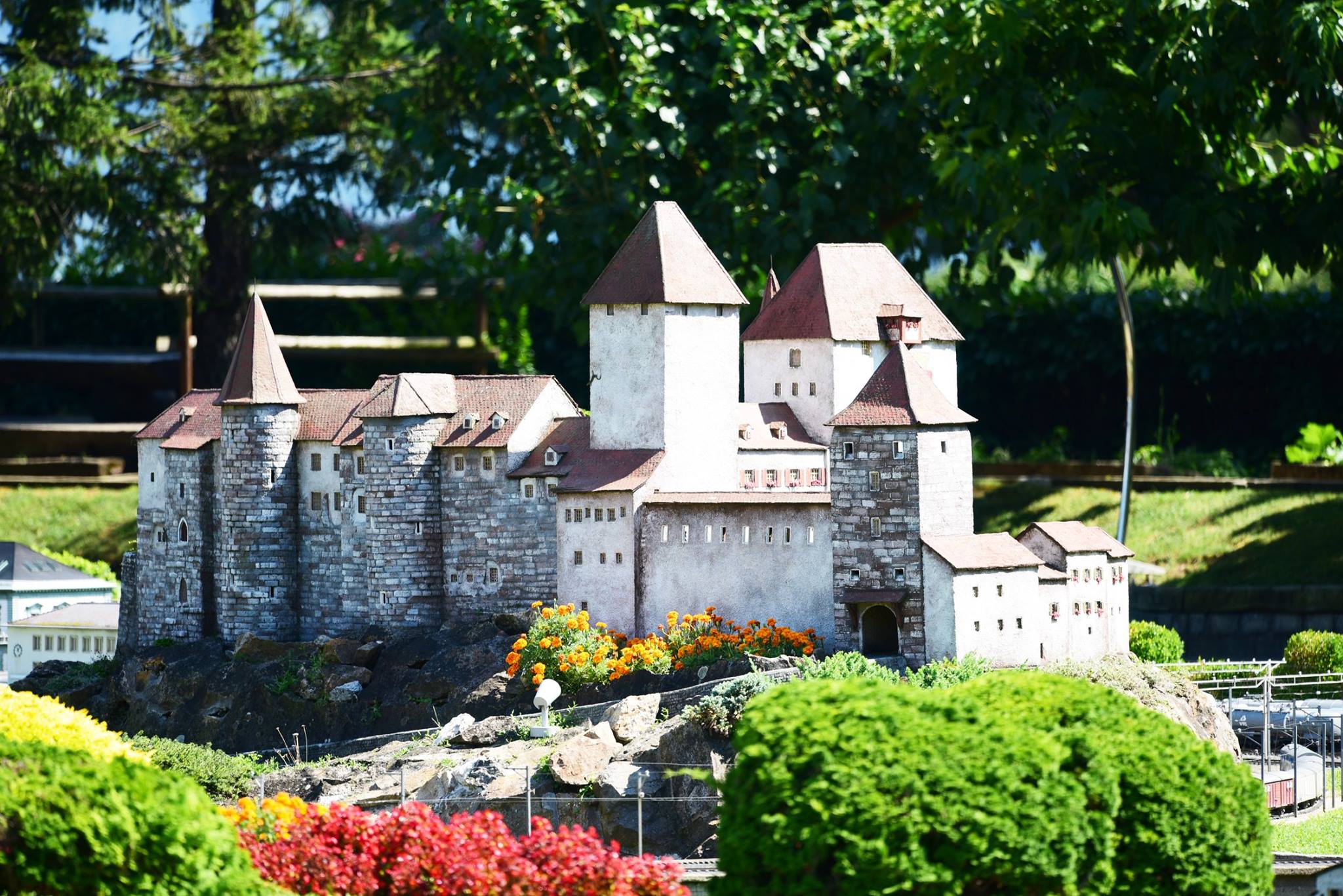 40646977_2075252309470423_5217414309973327872_o