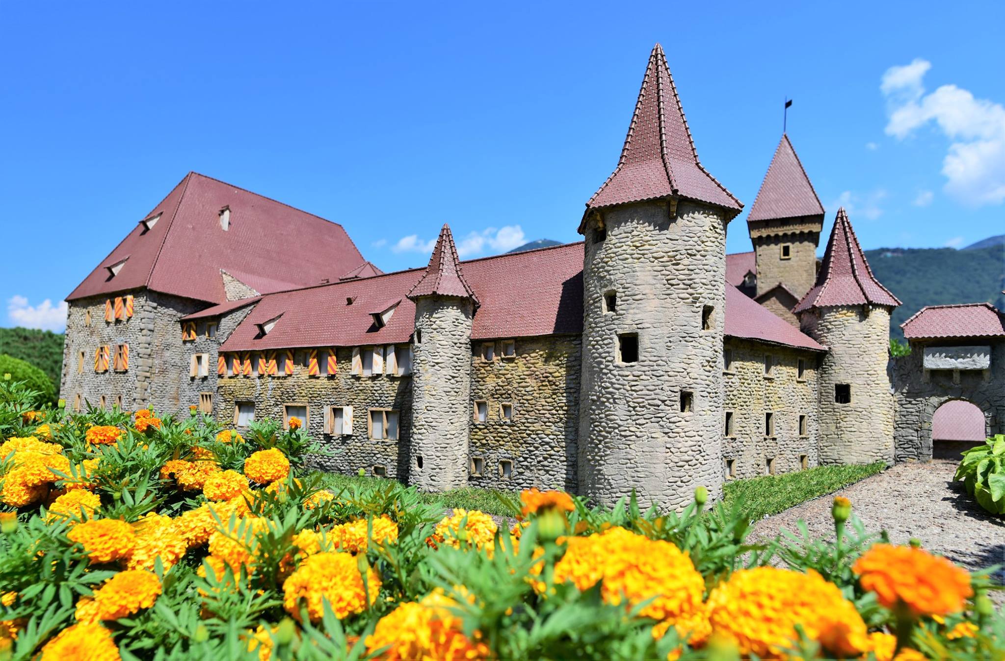 40694647_2075239066138414_2503796355374252032_o