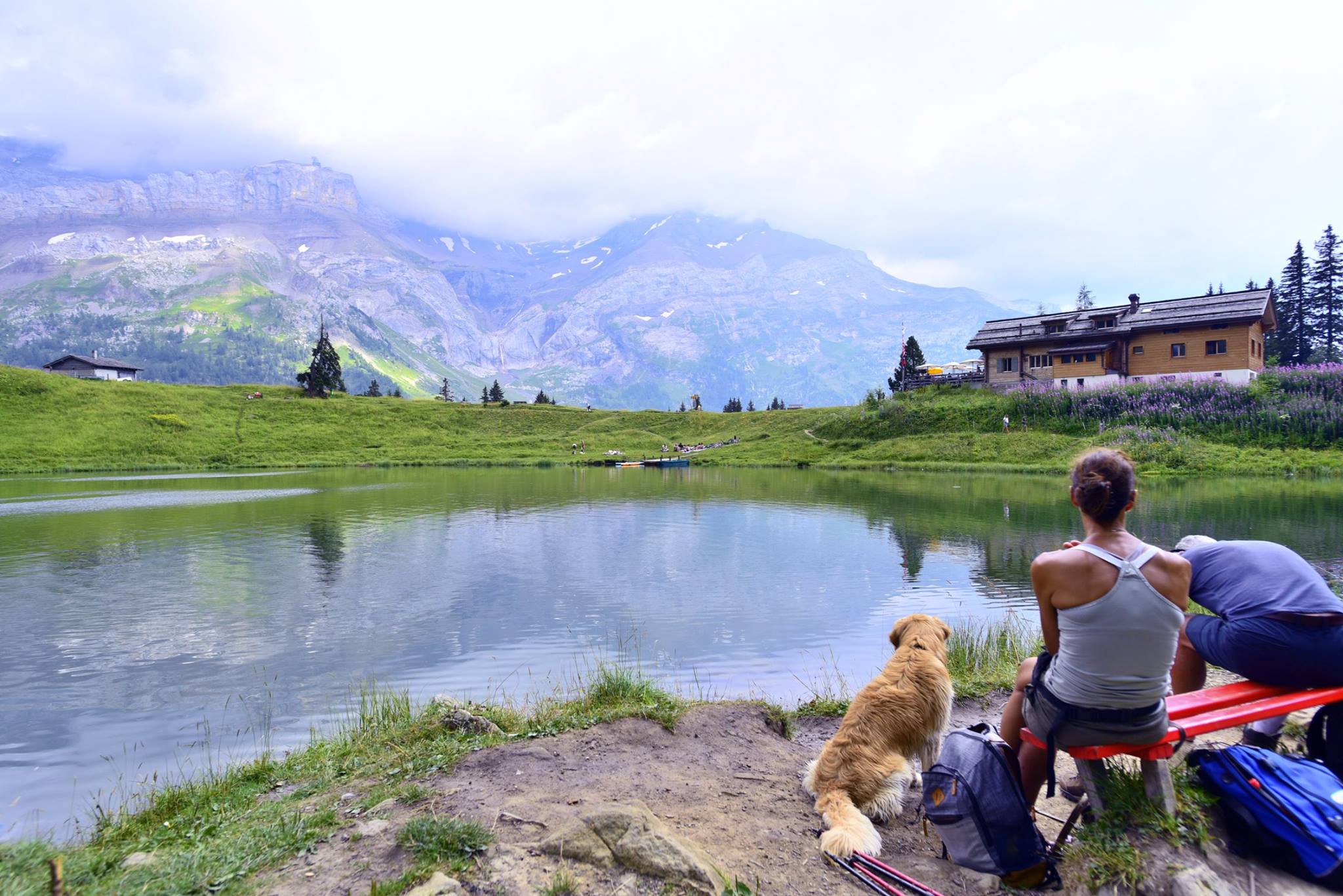 41598605_2081082652220722_8457488318966267904_o