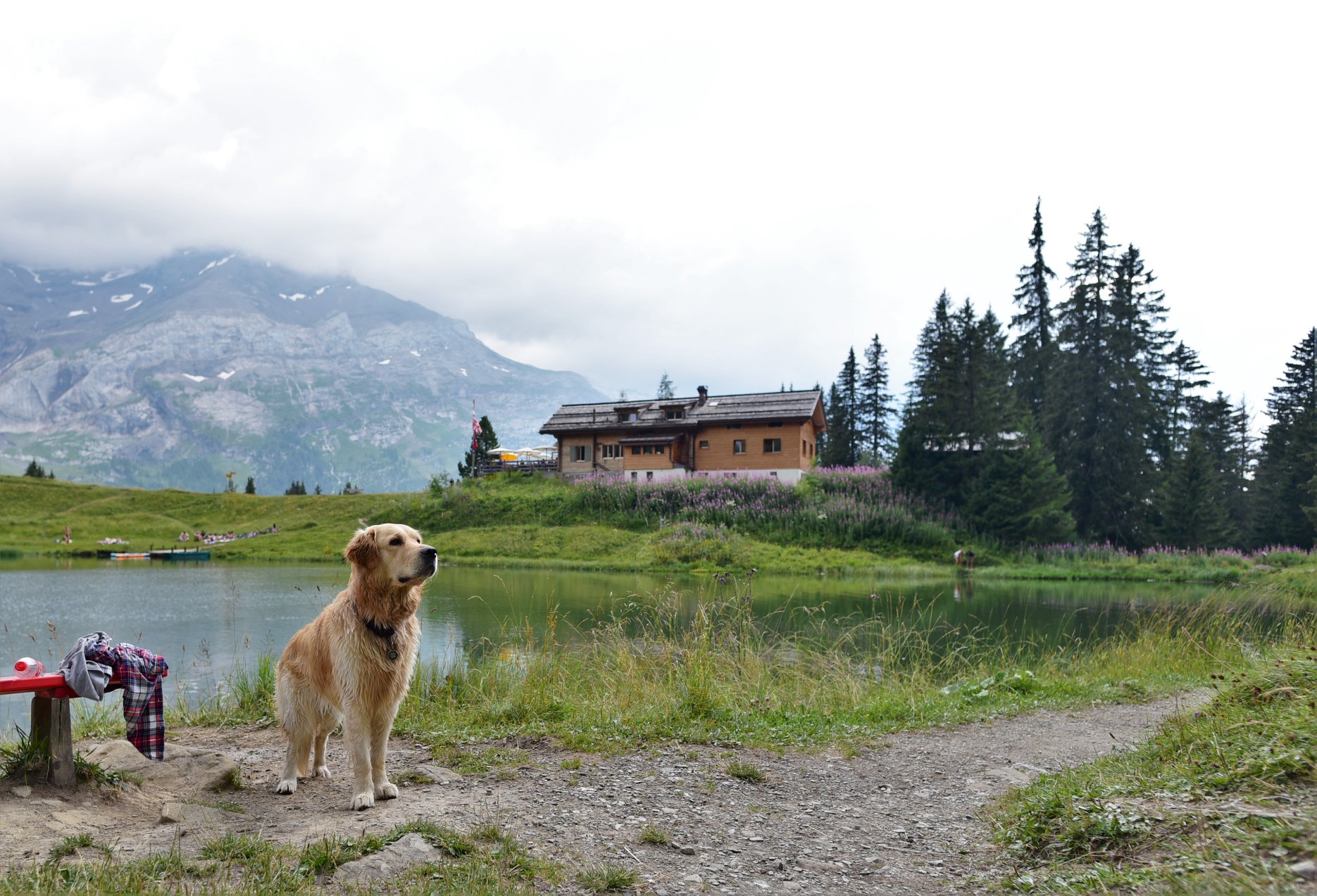 41650173_2081081948887459_2794718524969320448_o