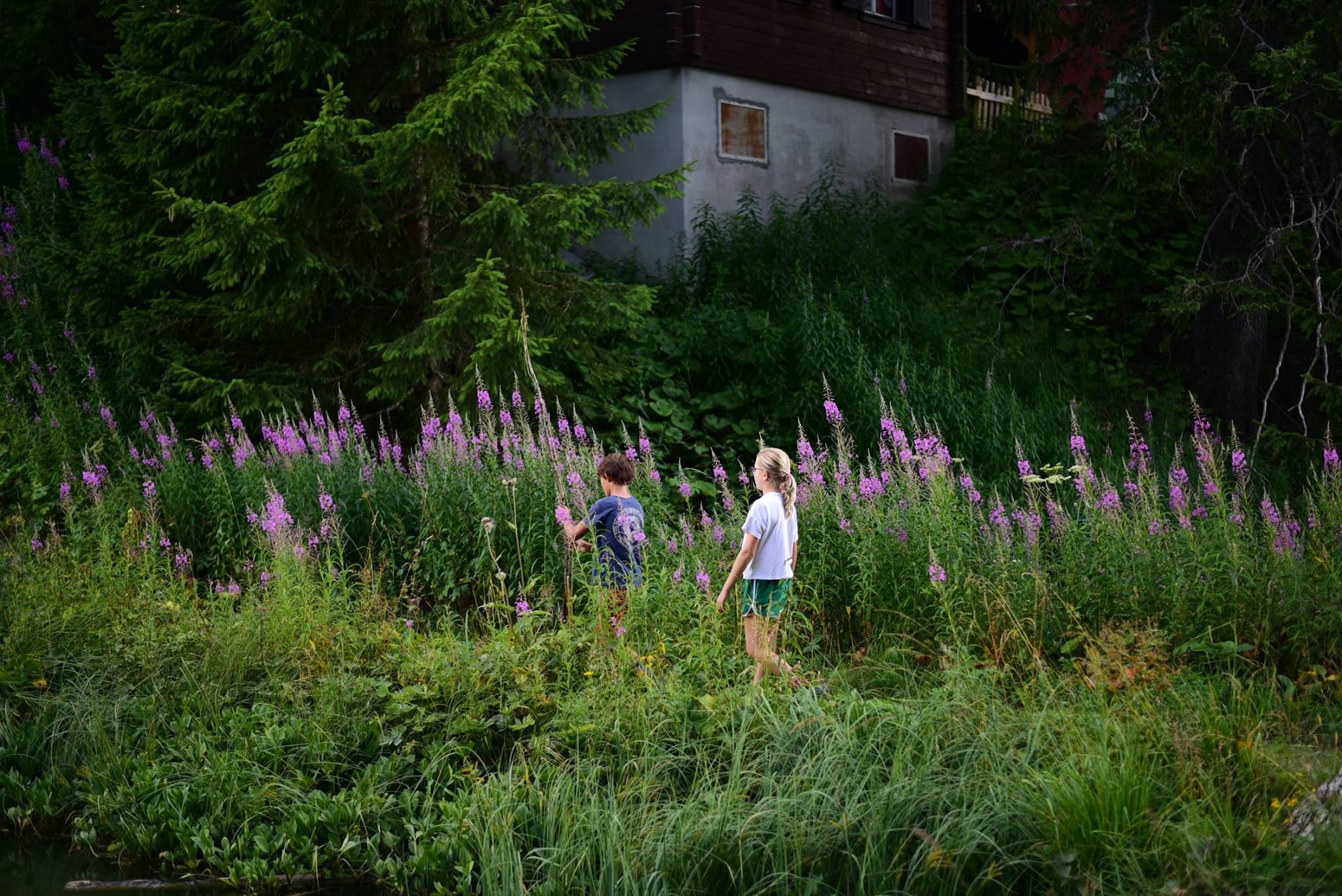 41684589_2081082445554076_7194595830307749888_o