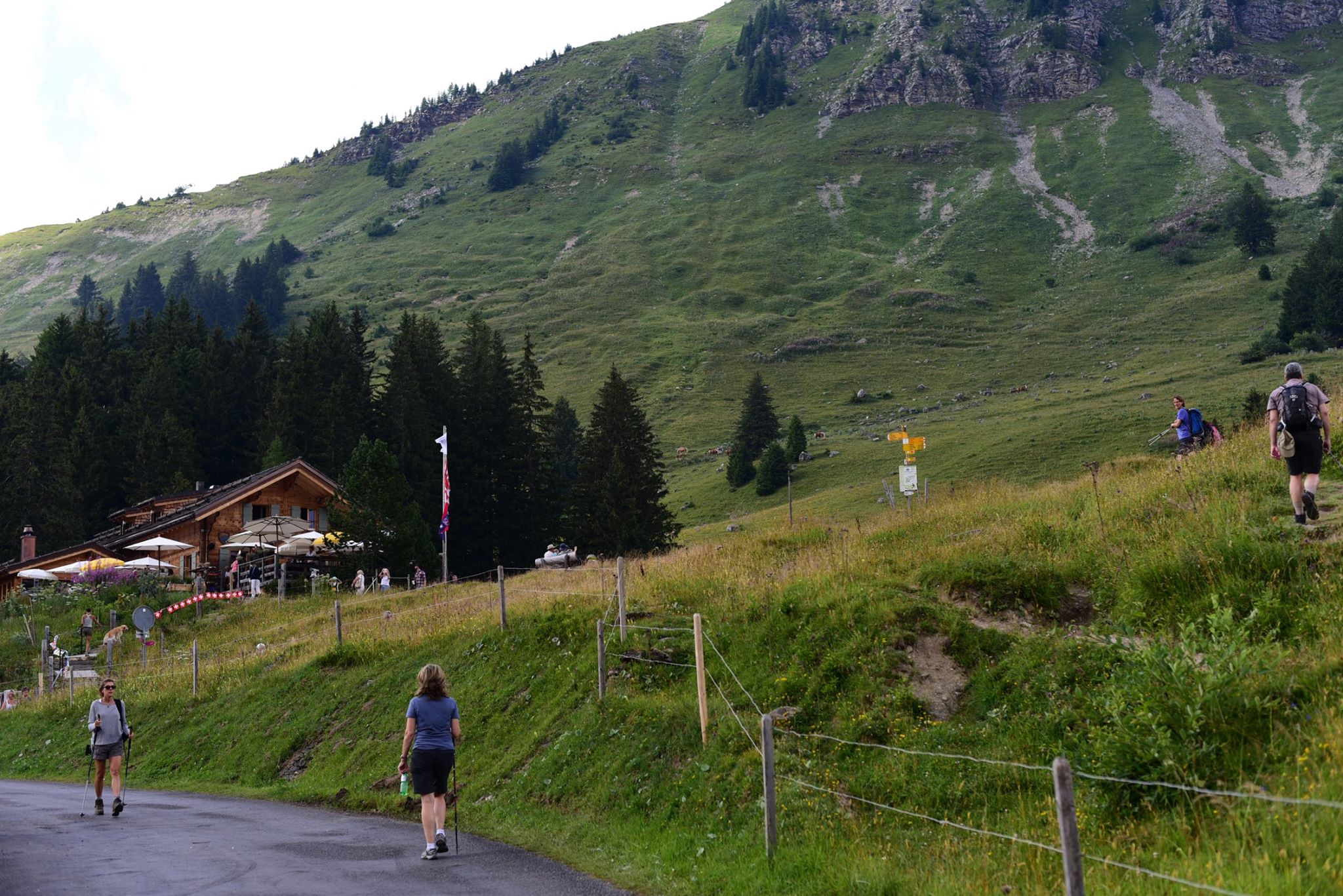 41705219_2081082538887400_7465353776988160000_o