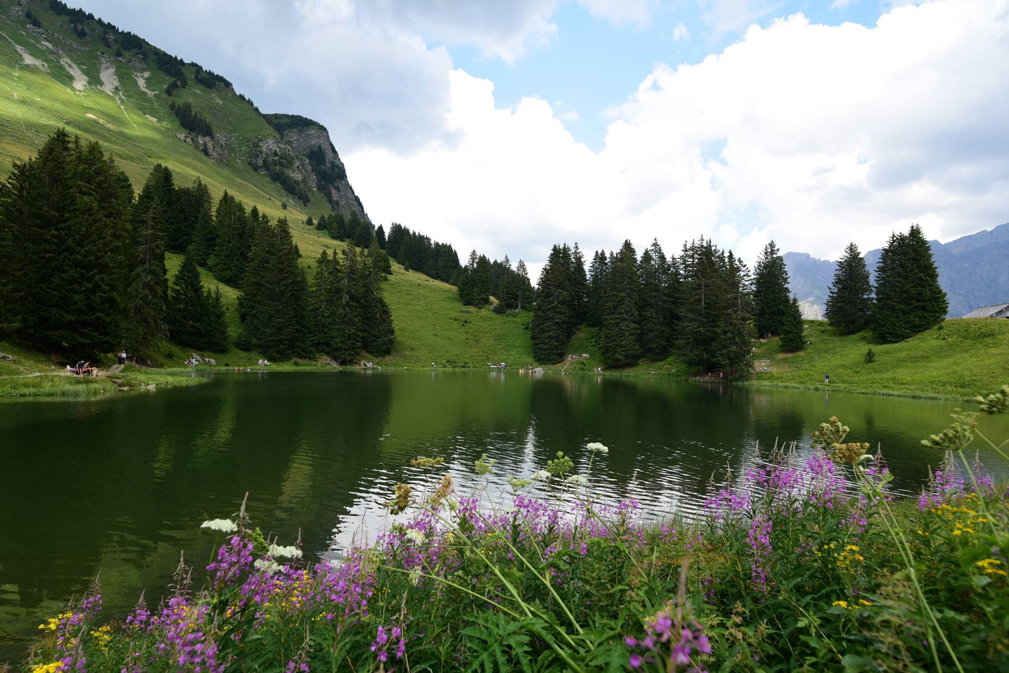 41793819_2081081882220799_7472014876127264768_o