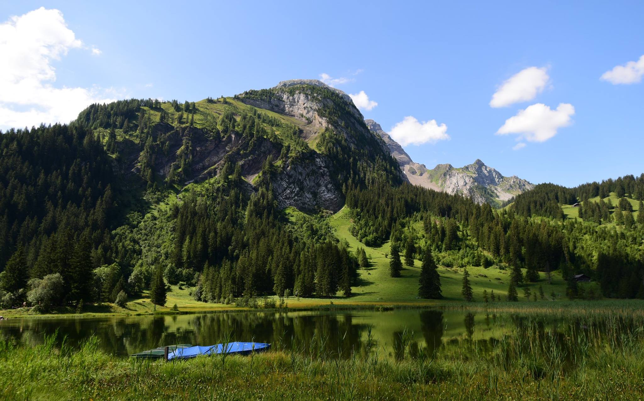 41810098_2083318768663777_6961197665241530368_o