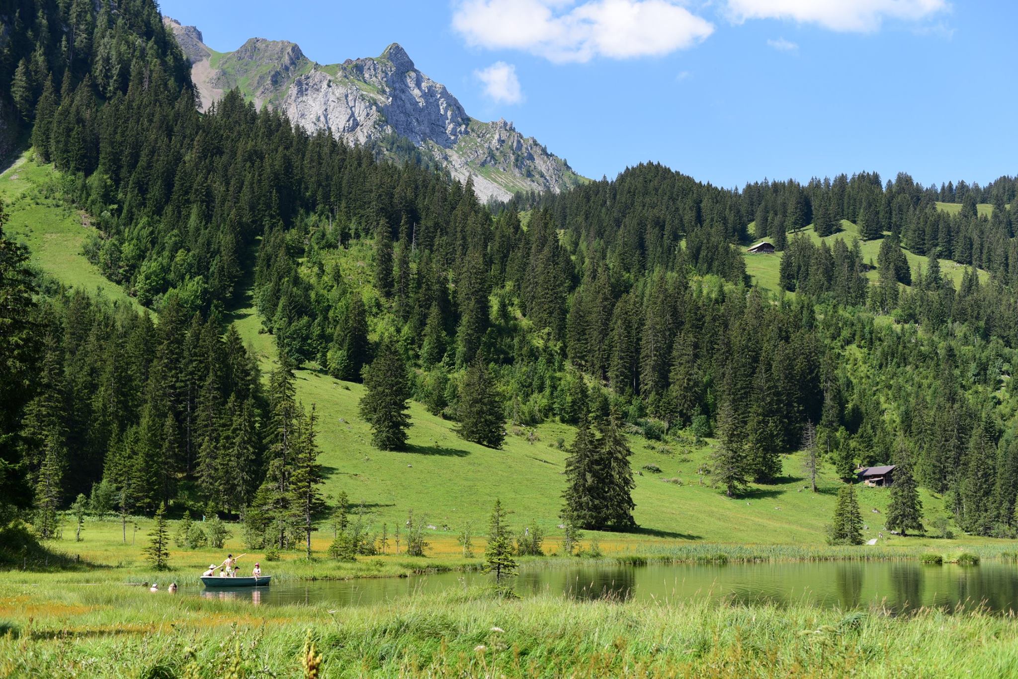 41840041_2083318965330424_8740163038956486656_o