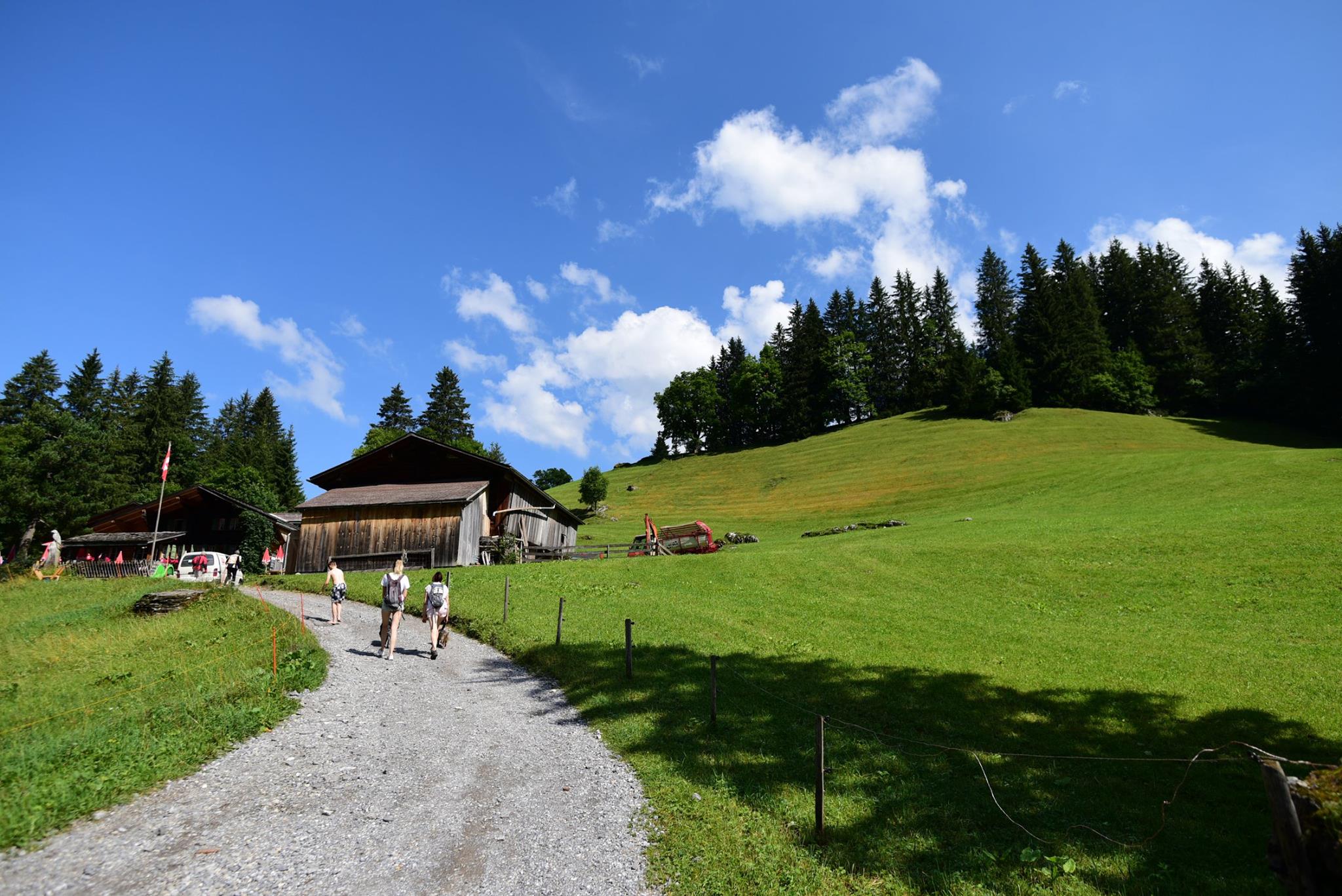 41858699_2083318711997116_6569552482421178368_o