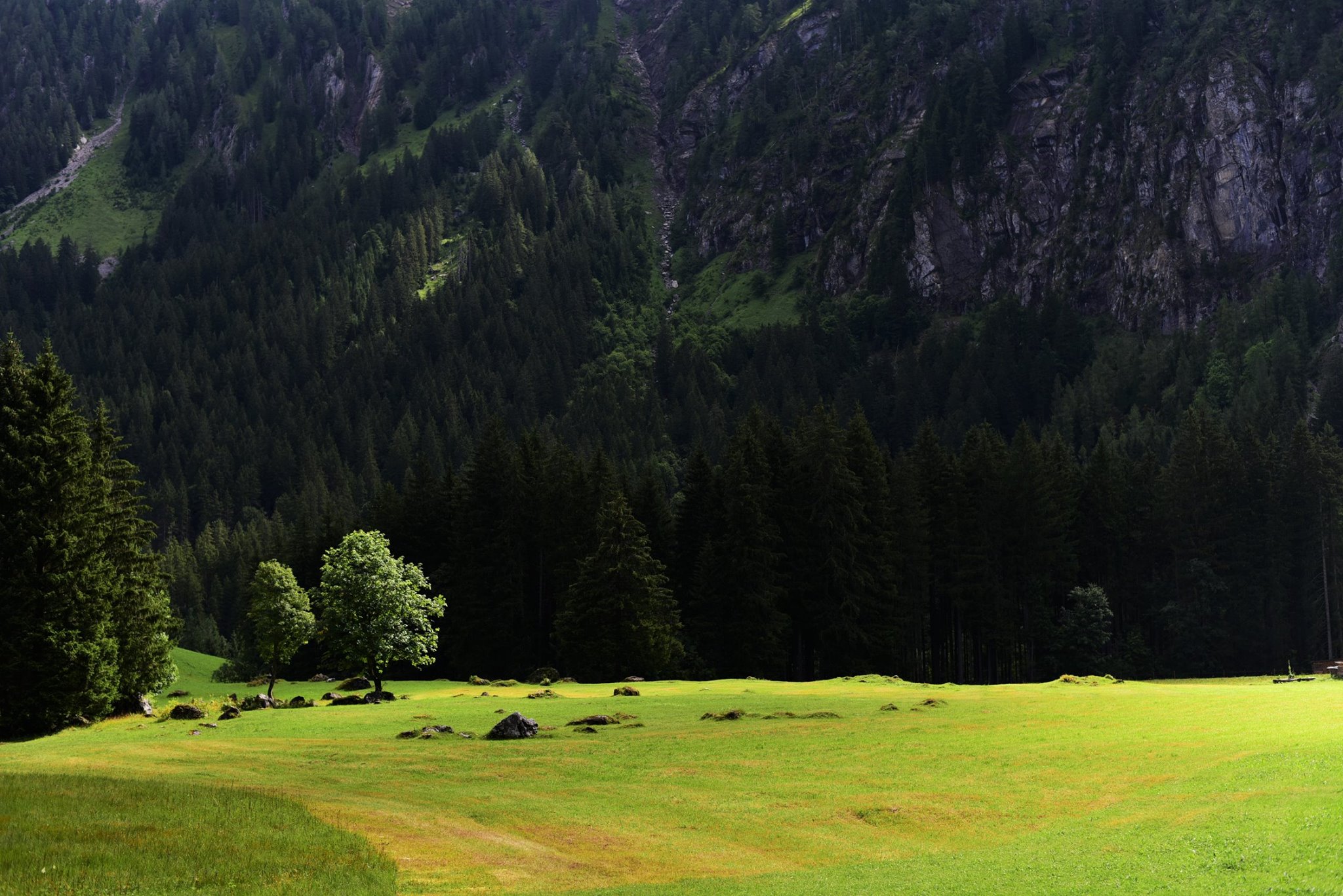 41867110_2083320948663559_4192262082353168384_o