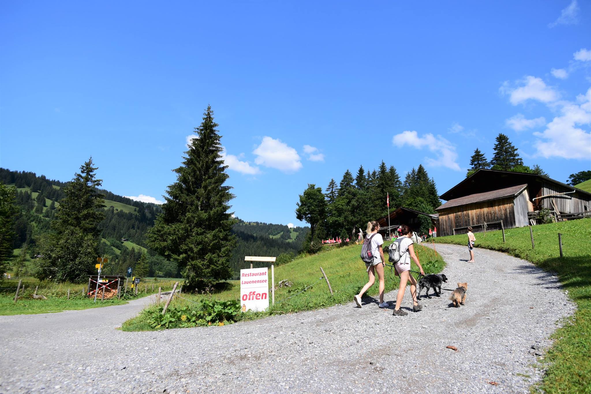 41873033_2083318661997121_7606083624596668416_o