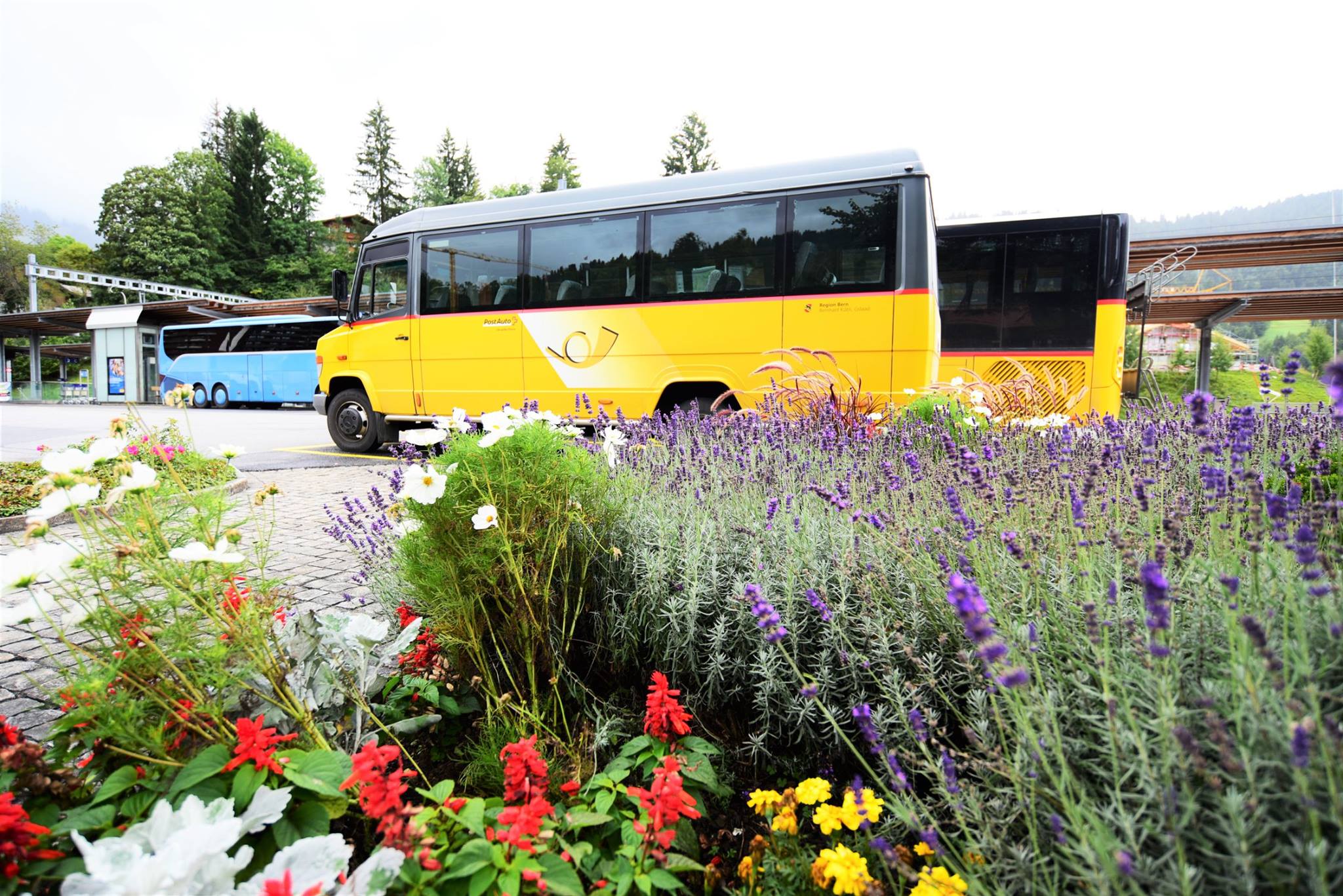 41876600_2083322198663434_7589420152215568384_o