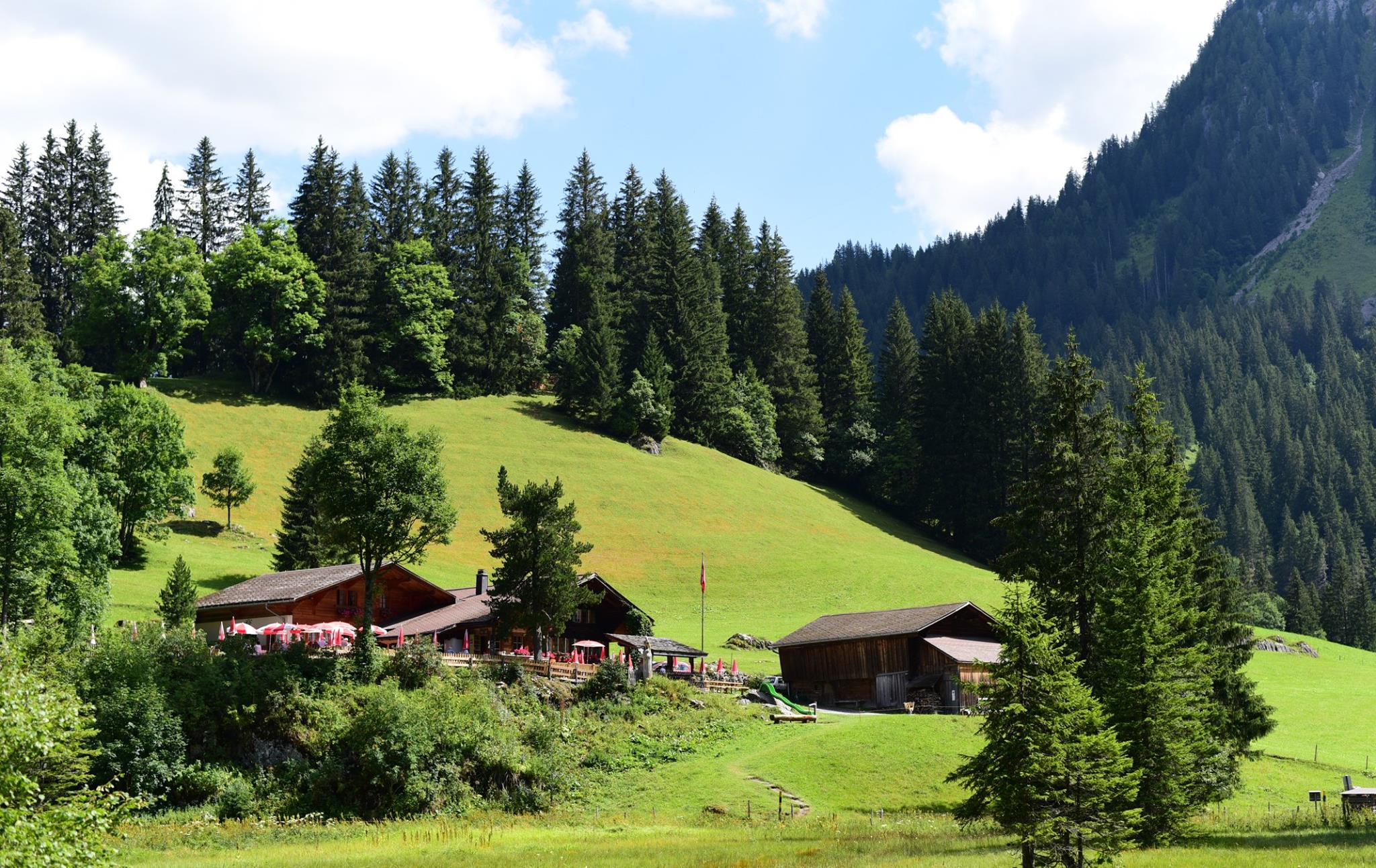 41913874_2083319038663750_4725291627143233536_o