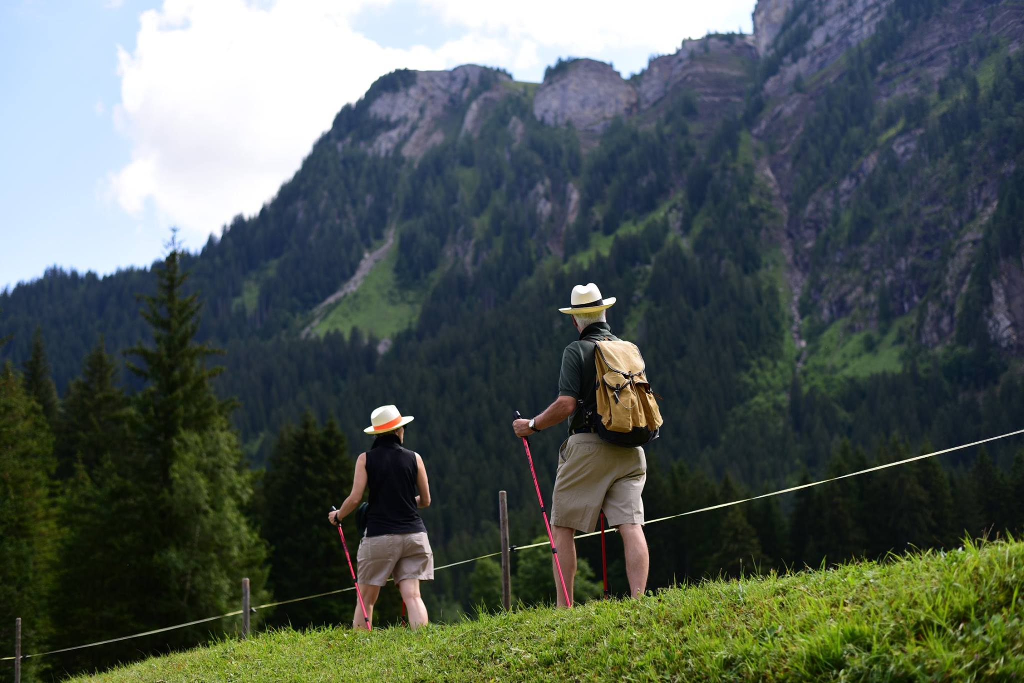 41983091_2083321015330219_2171755276988841984_o