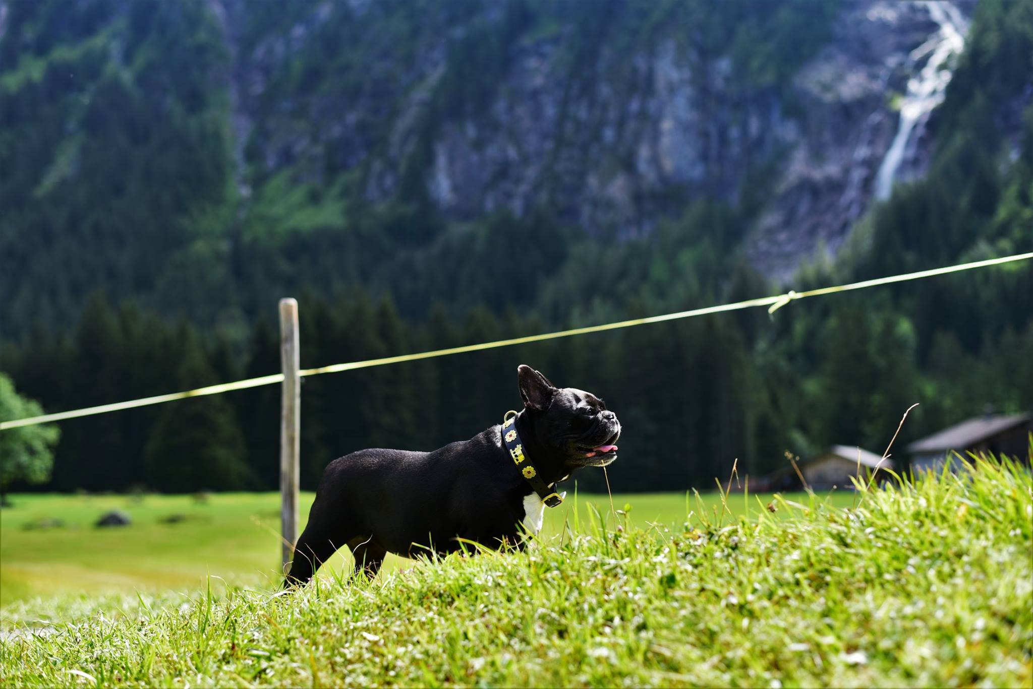 41990484_2083321048663549_3101191233544912896_o