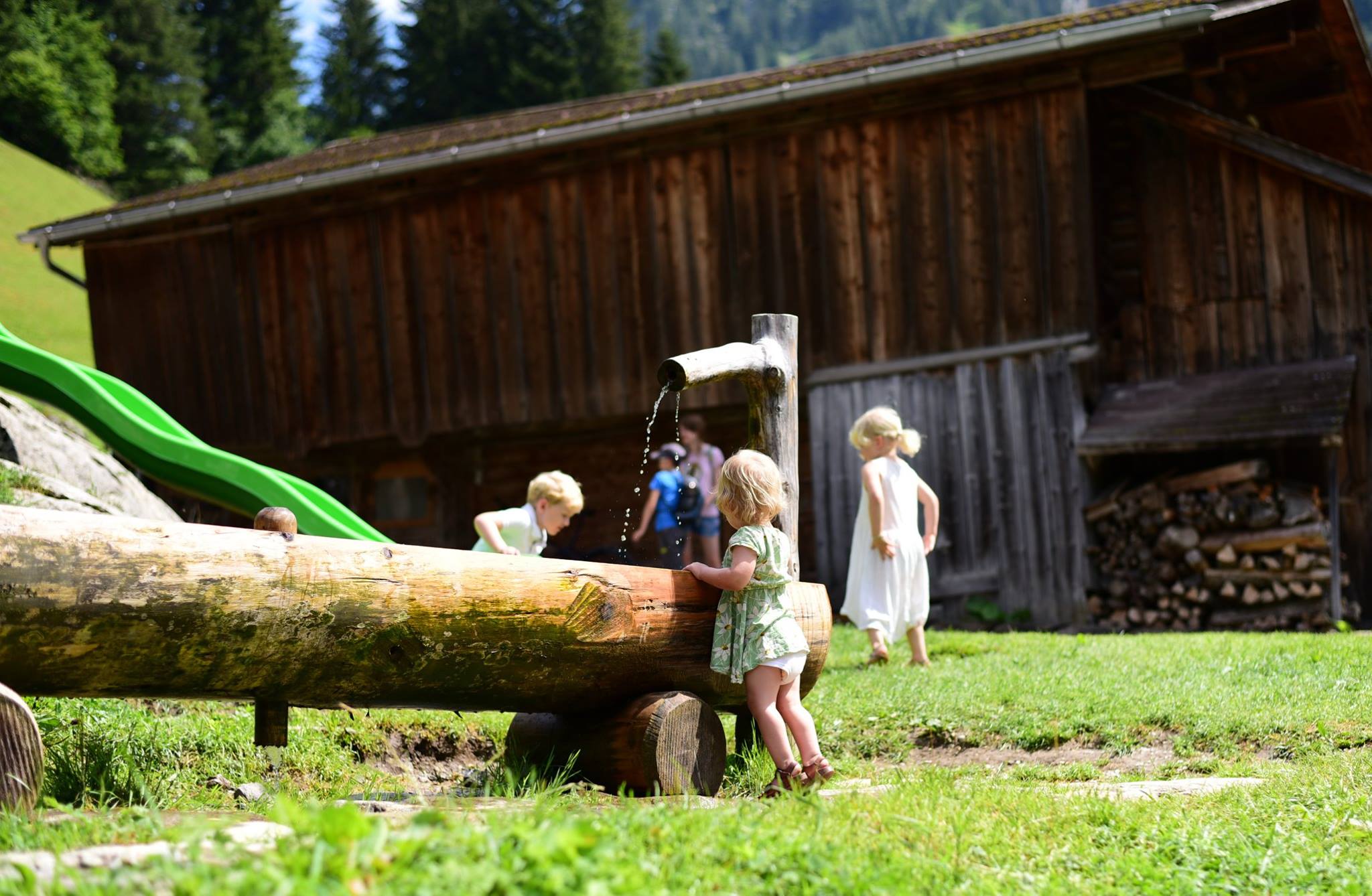 42104906_2083321915330129_8558945659930017792_o