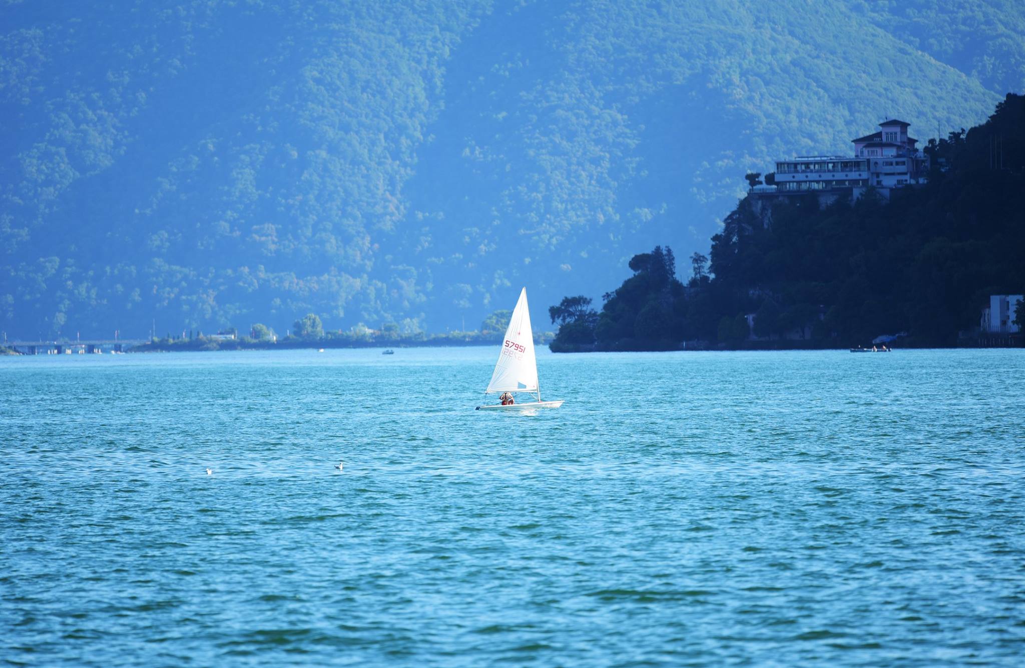 42112696_2084362948559359_1345561911797743616_o