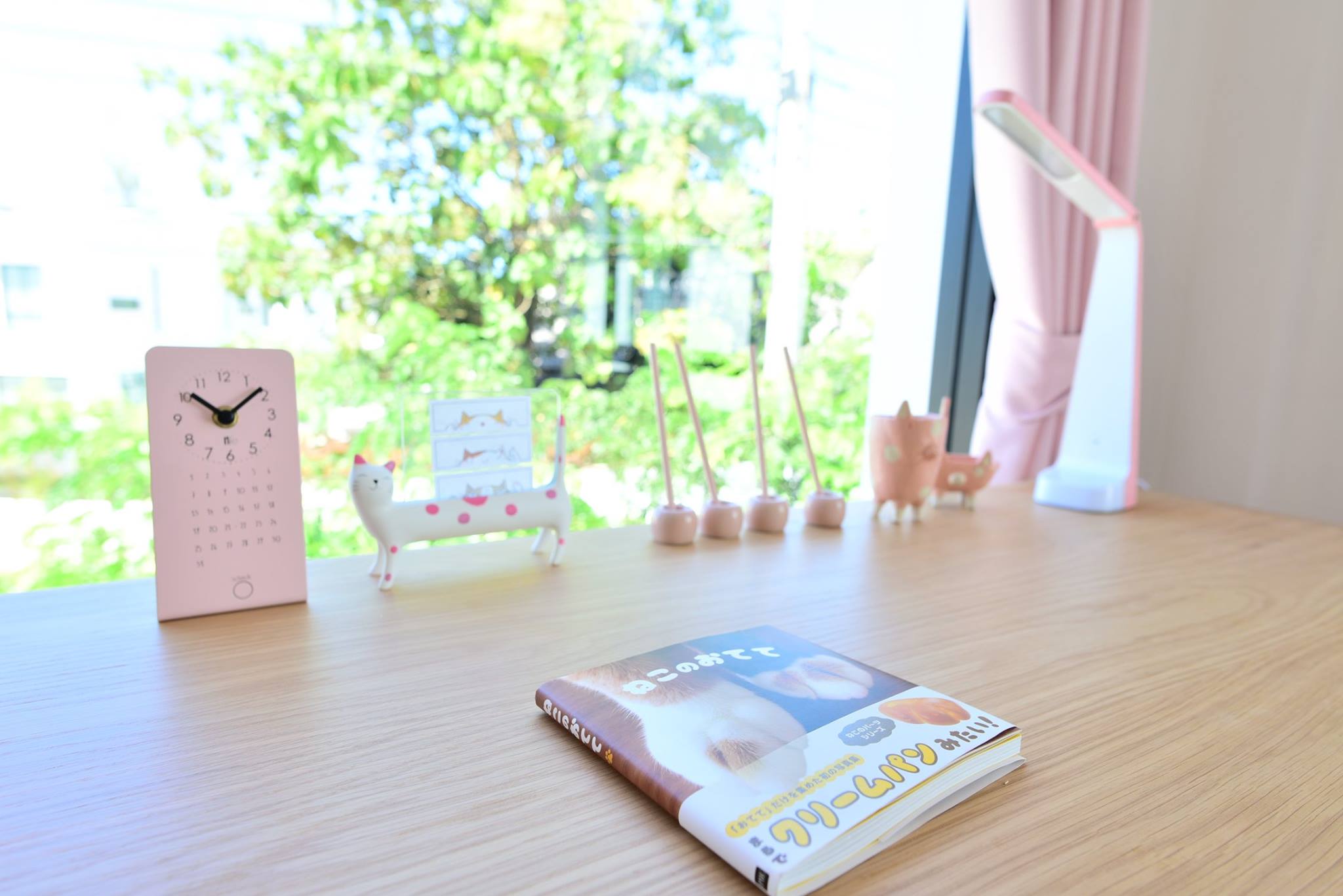 42465656_2087714954890825_3245565025896628224_o