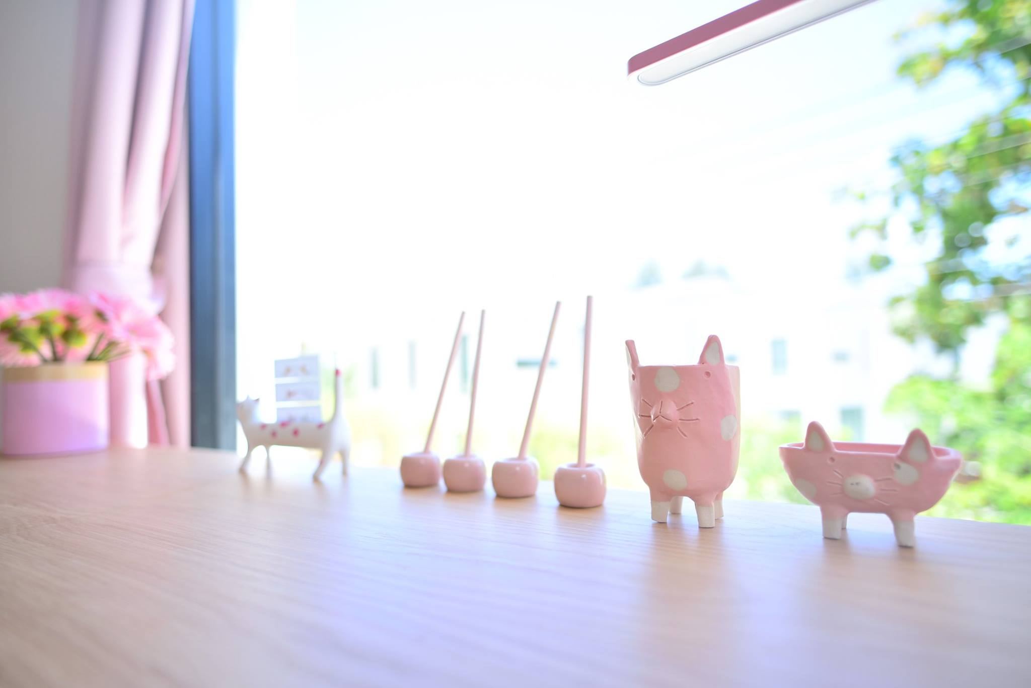 42474160_2087714578224196_1719461397852585984_o