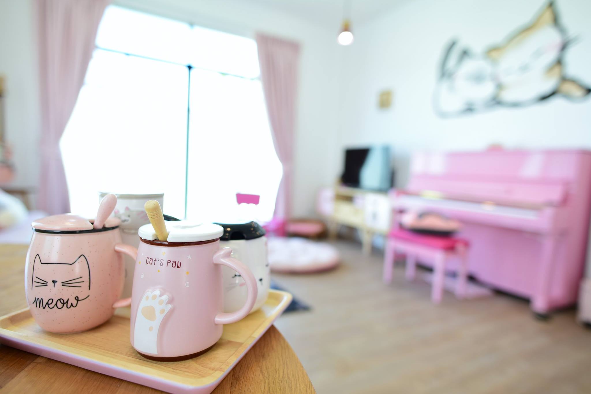 42559786_2087719664890354_3902670278878035968_o