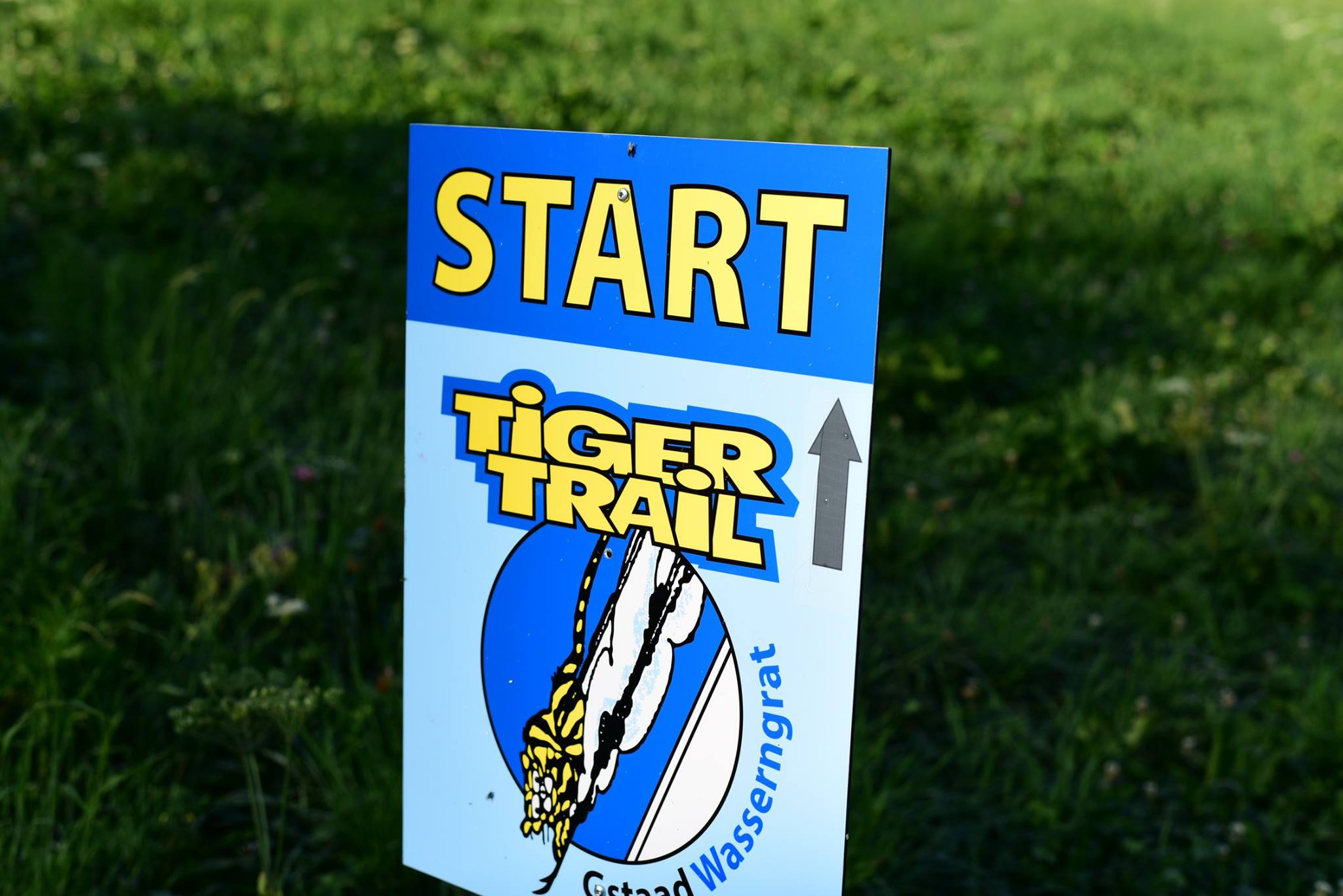 43193442_2092895037706150_6945336737564459008_o