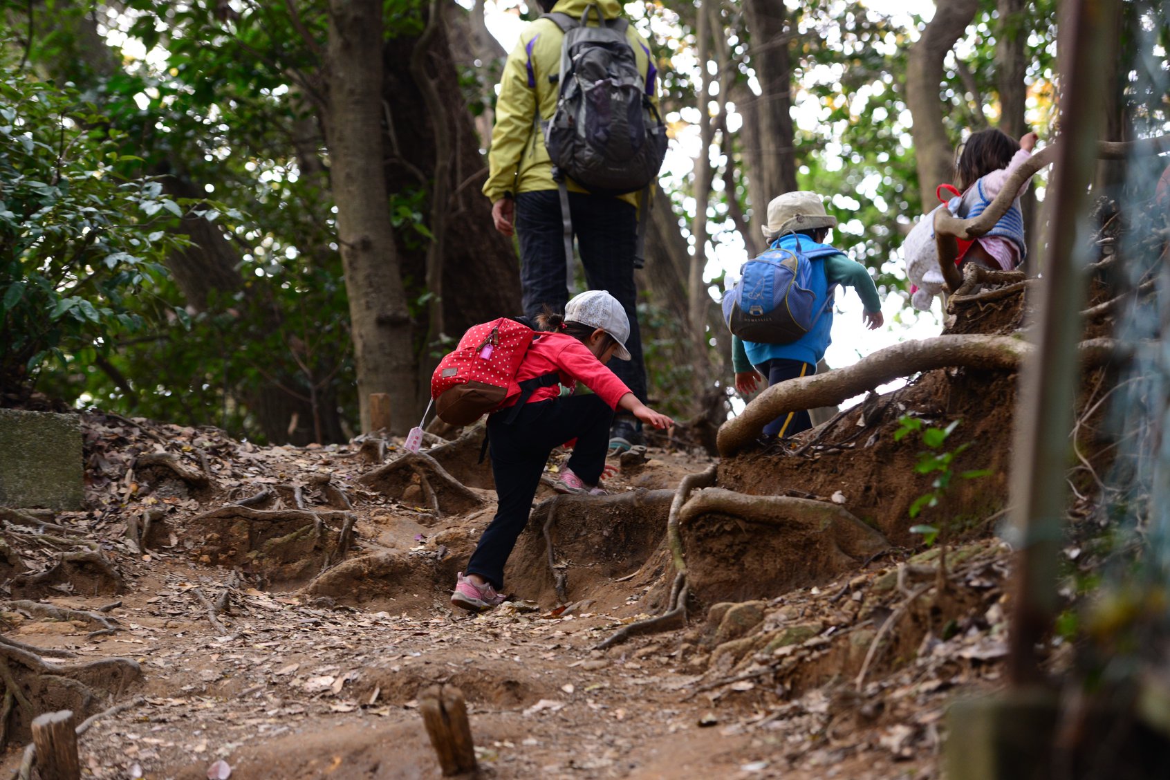 44934015_2110156875979966_2934779289687556096_o