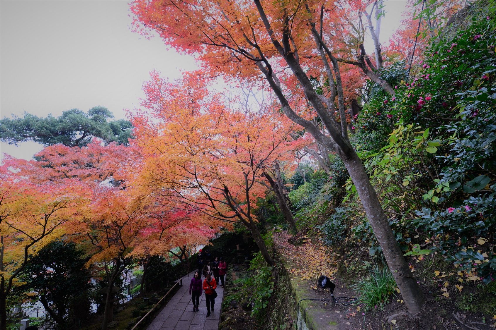 44956625_2110157305979923_6500339612727115776_o