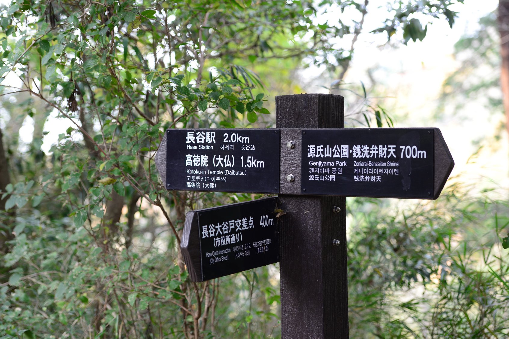 44991688_2110156942646626_7695549318085738496_o